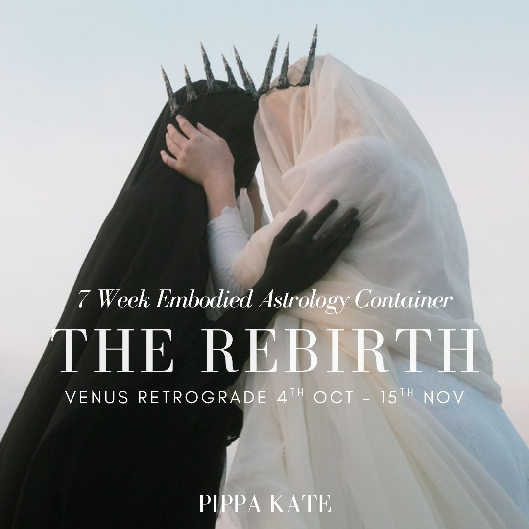 The Rebirth 2026: Venus Rx Embodied Astrology Circle