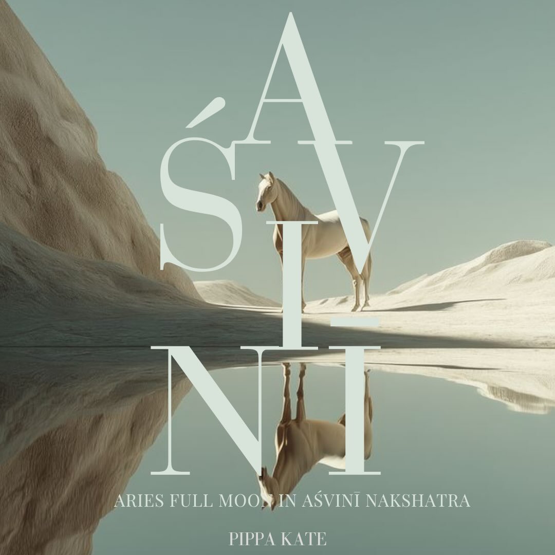 FULL MOON IN AŚVINĪ NAKSHATRA 

When: 25th - 26th of October 

The rishis called this the Moon with every divine quality. It will peak on Aśvinī, the first Nakshatra, which represents healing, cures and divine medicines. 

It can bring these things a