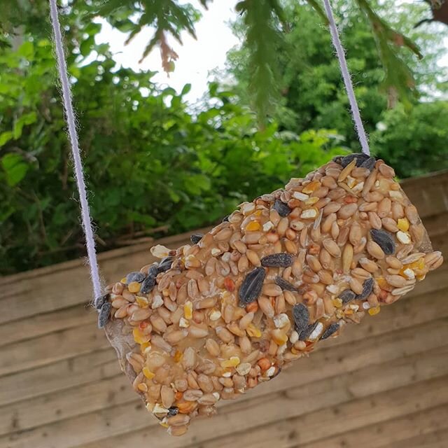 Since we can't feed humans right now, myself and Sinead (our 11yo) decided to feed the birds! Just put peanut butter on a toilet roll holder, cover with bird seed and hey Presto!