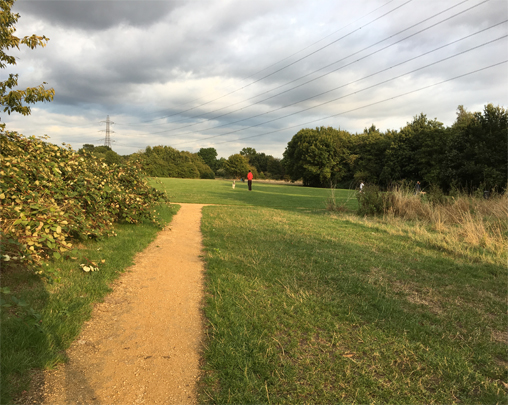 Manor Park.jpg