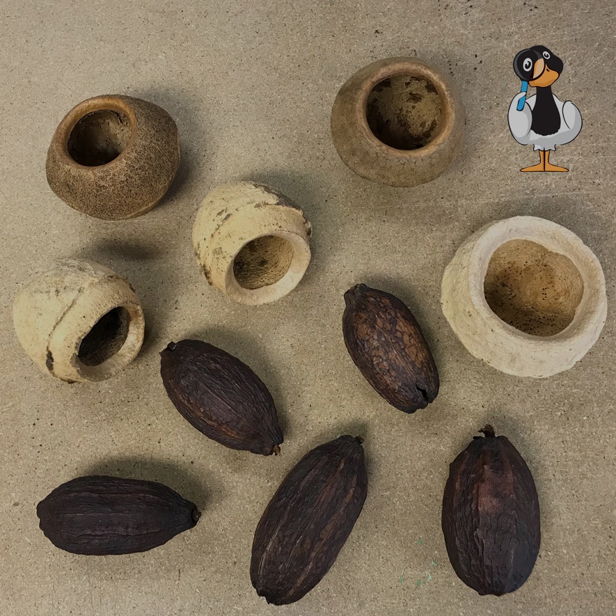 Nuts.jpg