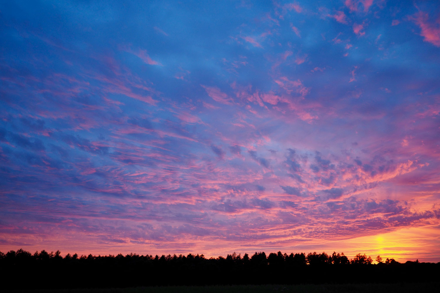 web-optimised-Sunset-East-Hampshire-June-2018.jpg