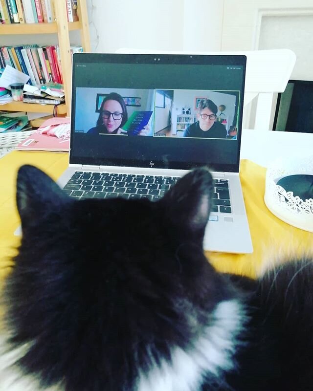 When you try to watch a really interesting webinar by co-founder and former CEO of Kickstarter Yancey Strickler and the man behind the methodology 'Bentoism'... #catsofinstagram #cats #kickstarter #bentoism #methodology #yanceystrickler #webinar #wor