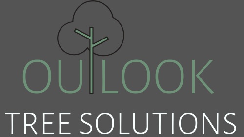 Outlook Tree Solutions