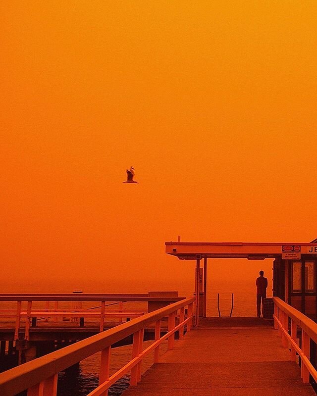 Orange :: A man stands on Jeffrey's Street Wharf as the Sydney skyline is obscured by a thick cloud of dust on September 23, 2009 in Sydney, Australia. Severe wind storms in the west of New South Wales had blown a dust cloud that engulfed Sydney and 