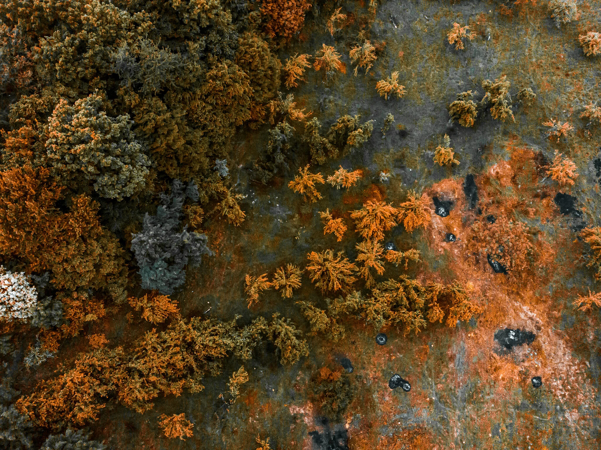 fotograf profesionist, fotograf drona, fotografie drona, fotografie imobiliare, fotografie aeriana, video drona, video 4k (4).jpg