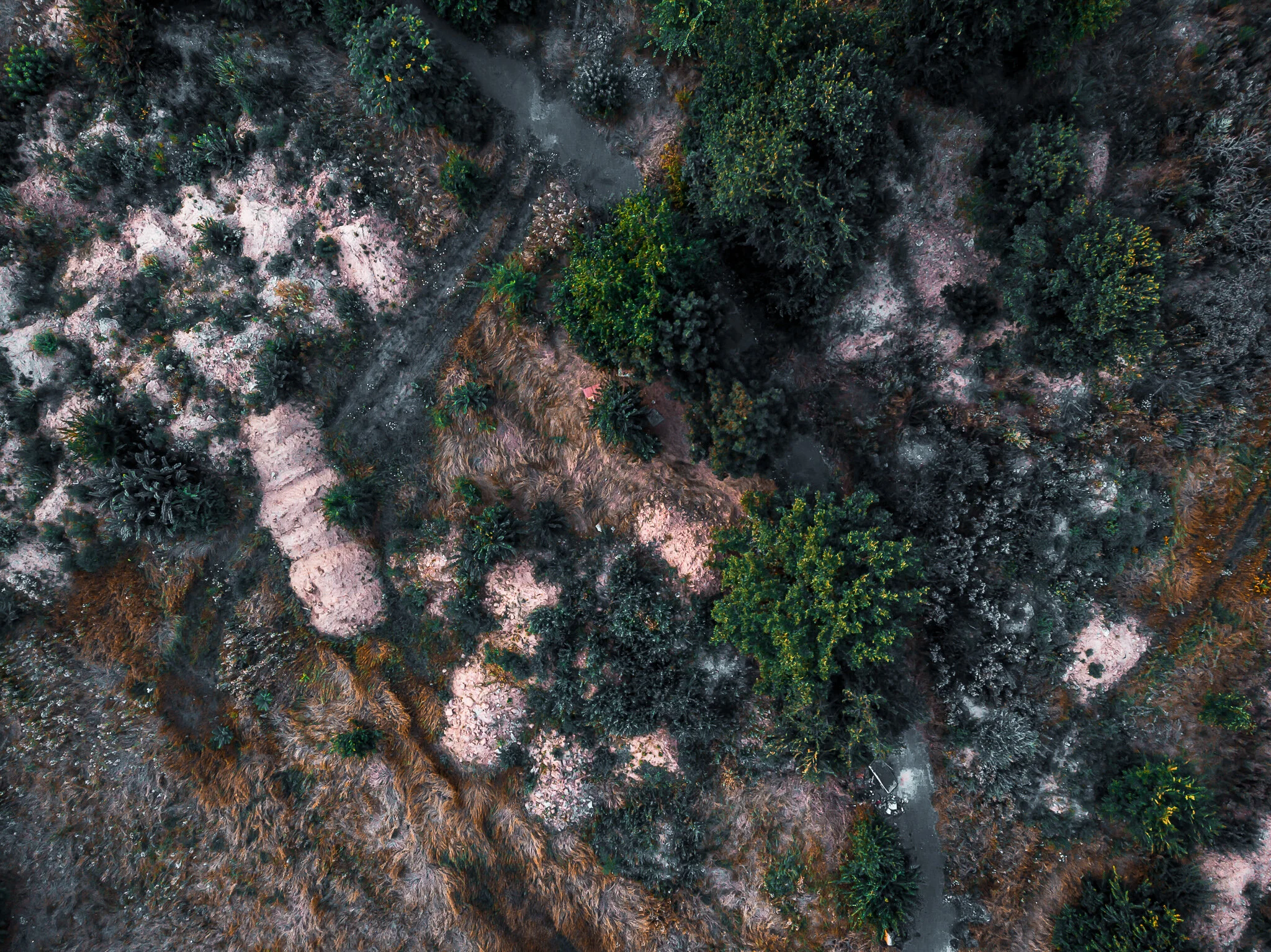 fotograf profesionist, fotograf drona, fotografie drona, fotografie imobiliare, fotografie aeriana, video drona, video 4k (6).jpg