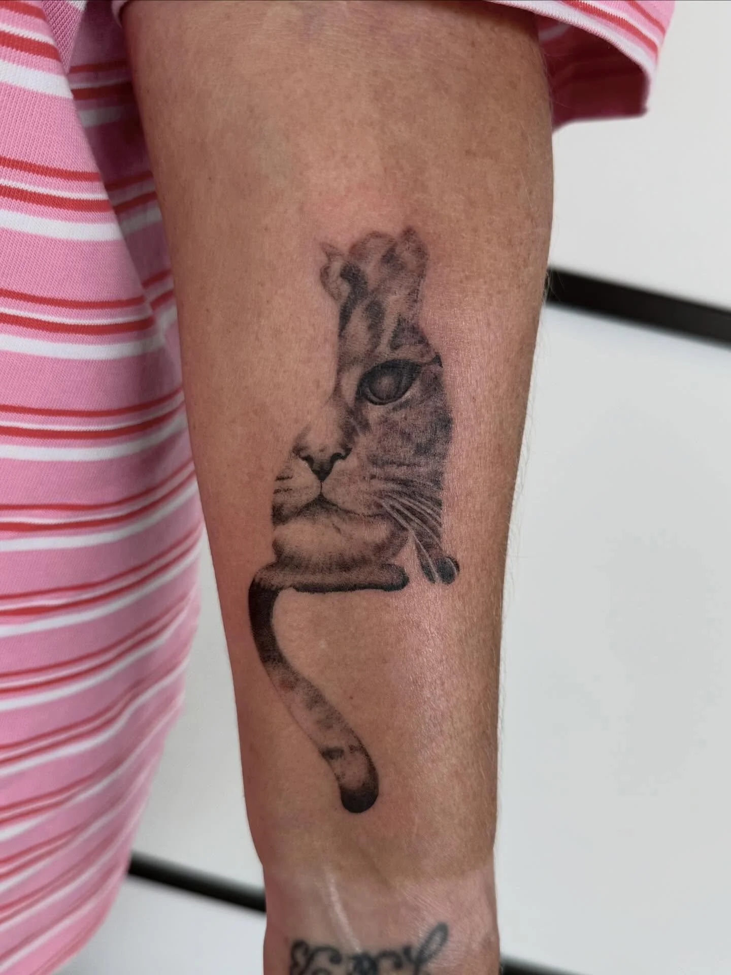 In memory of gorgeous Smudge! 

Made by @rachjackson.tattoo 

&bull;&bull;&bull;&bull;&bull;&bull;&bull;&bull;&bull;&bull;&bull;&bull;&bull;&bull;&bull;&bull;&bull;&bull;&bull;&bull;

#tattoo #tattoomanchester #manchestertattoo #ink #urmston #northwe