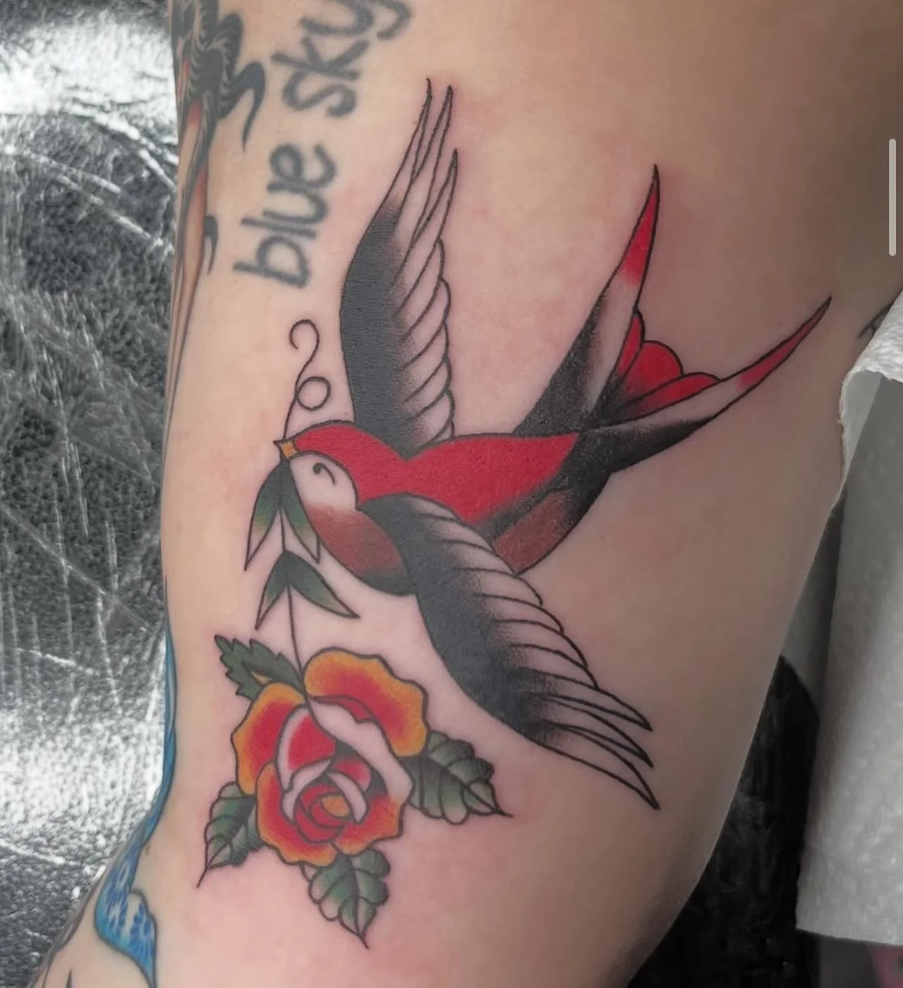 Trad swallow made by @isobelrileytattoo