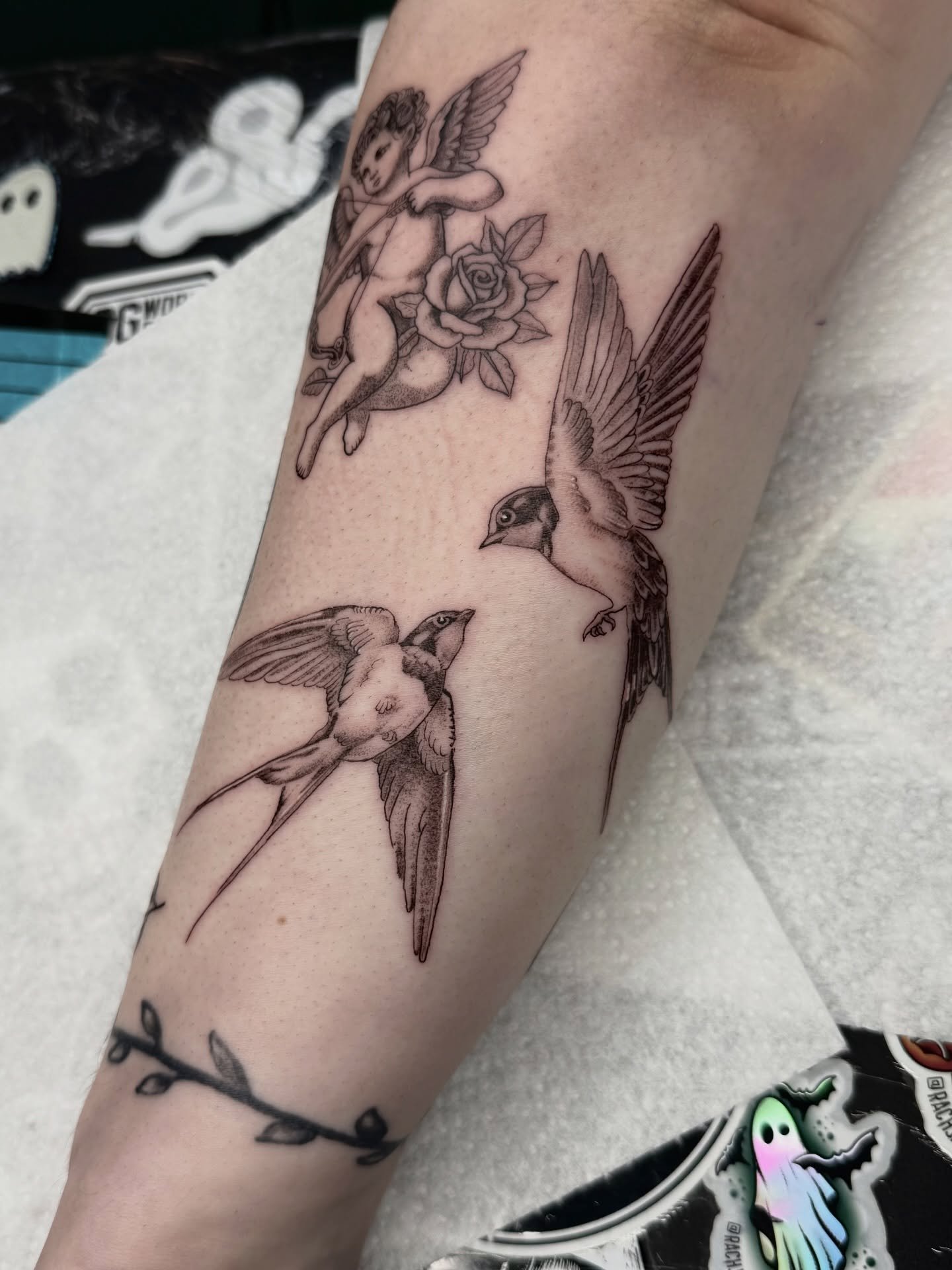 Classic fineline swallows made by @rachjackson.tattoo 

Get in touch if you&rsquo;re looking for something similar 👌🏼

&bull;&bull;&bull;&bull;&bull;&bull;&bull;&bull;&bull;&bull;&bull;&bull;&bull;&bull;&bull;&bull;&bull;&bull;&bull;&bull;&bull;&bu