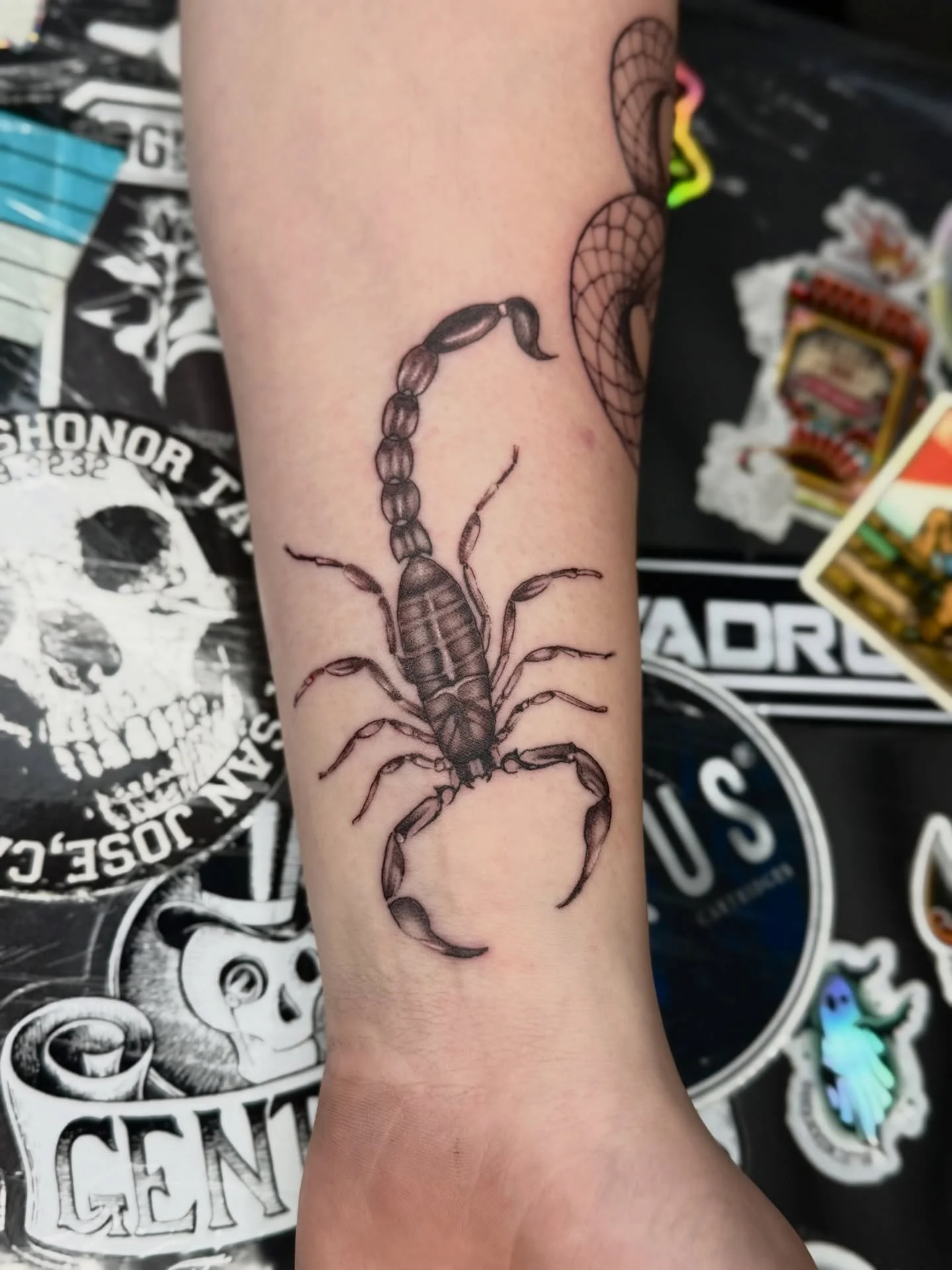🦂 super cool scorpion for Phil. 
Thanks so much pal. 

&bull;&bull;&bull;&bull;&bull;&bull;&bull;&bull;&bull;&bull;&bull;&bull;&bull;&bull;&bull;&bull;&bull;&bull;&bull;&bull;&bull;&bull;&bull;

#tattoo #tattoomanchester #manchestertattoo #ink #urms