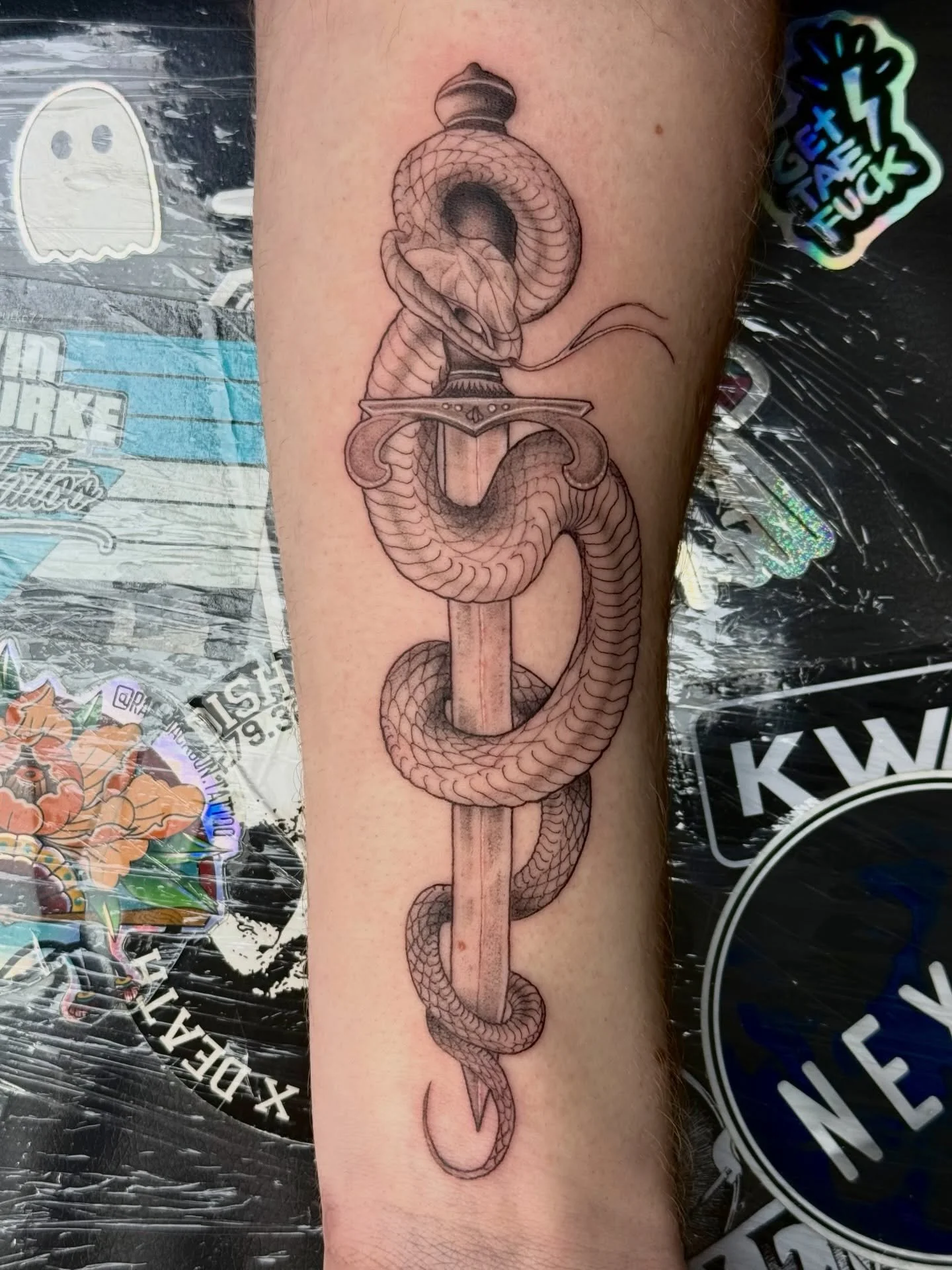 Danger noodle! Always a fave to tattoo!! 

&bull;&bull;&bull;&bull;&bull;&bull;&bull;&bull;&bull;&bull;&bull;&bull;&bull;&bull;&bull;&bull;&bull;&bull;

#tattoo #tattoomanchester #manchestertattoo #finelinetattoo #urmston