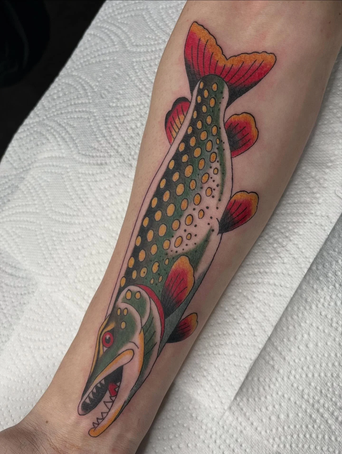 Pike fish made the other day!!

#tradtattoos #tattoomanchester #manchestertattoo #traditionaltattoo #tradtattoomanchester