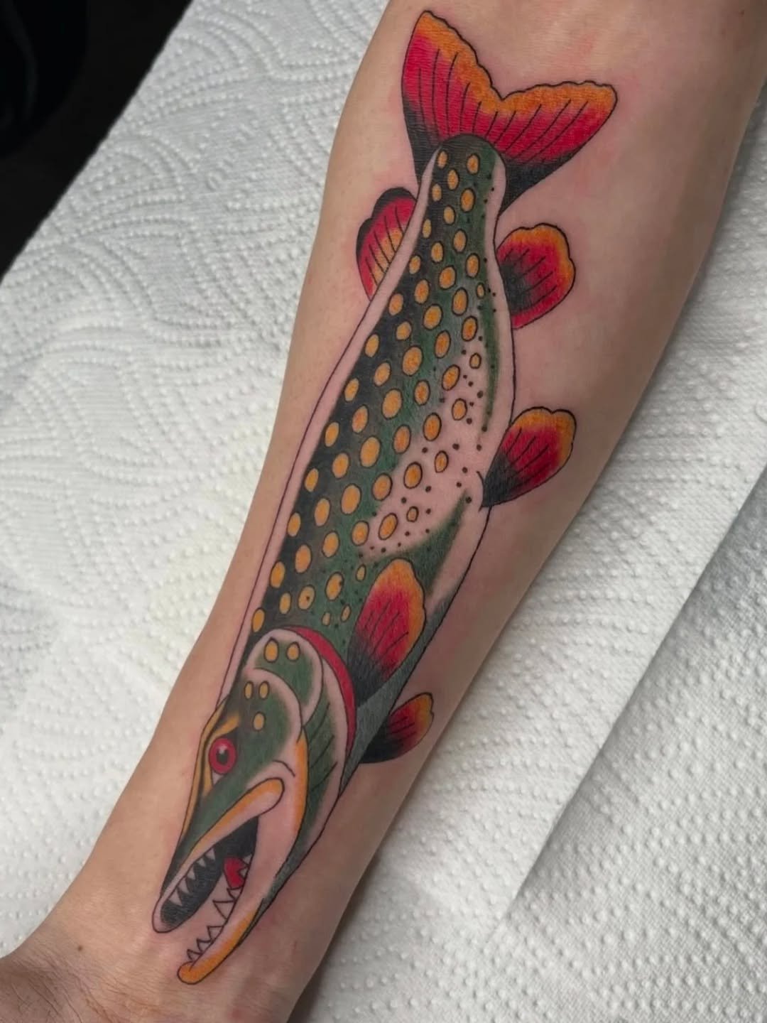 Awesome trad fish by @isobelrileytattoo 🐟🔥

Drop her a message if you're interested in booking ⭐️

#tattoomanchester #traditionaltattoo #fishtattoo #colourtattoo #urmston