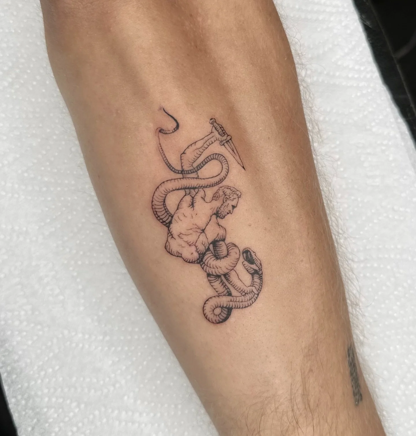 A recent one by @benalmondtattoos 
.
.
.
.
#fineline #tattoos #tattooing #finelinetattoo #manchestertattoo