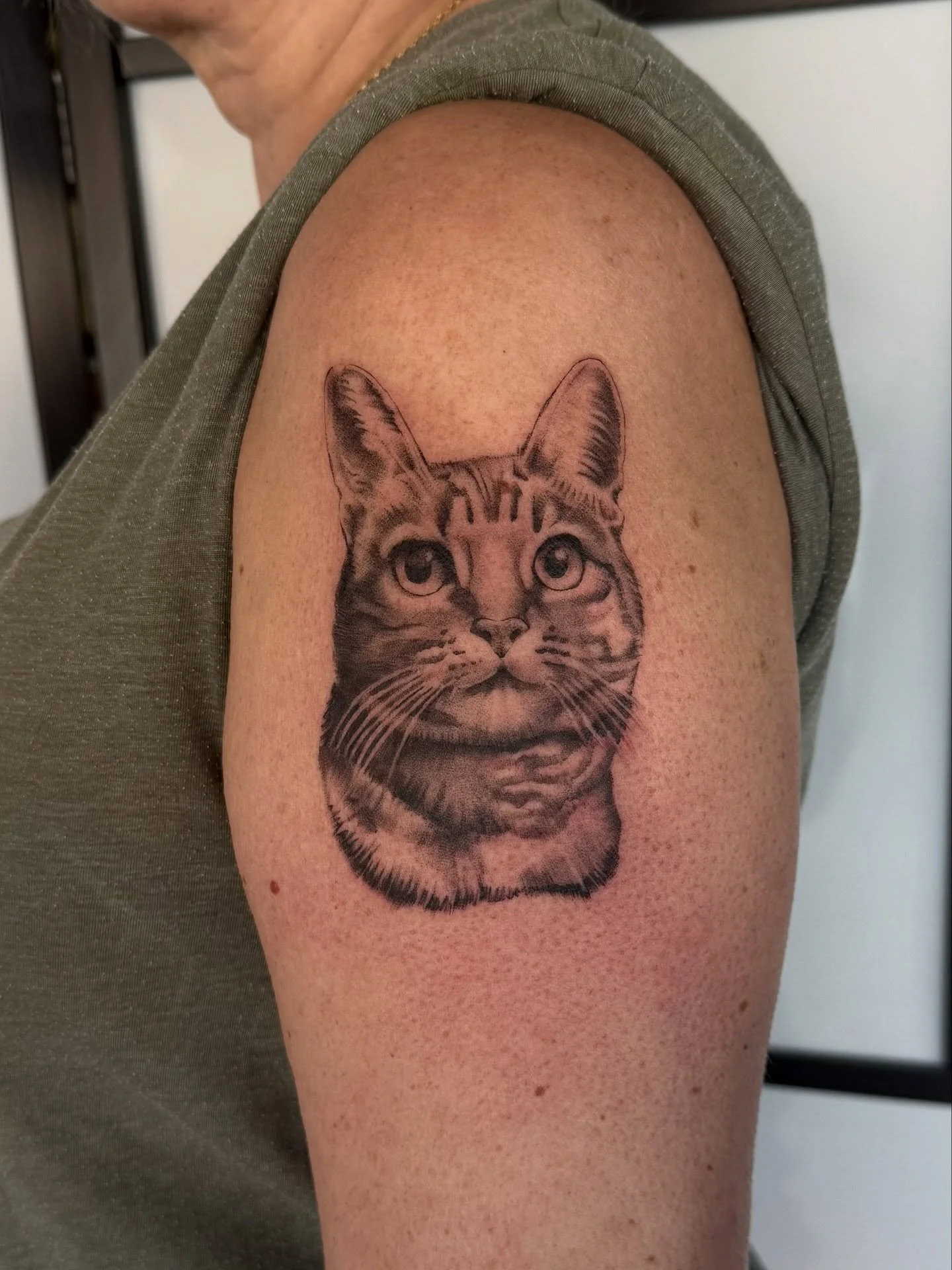 More pet portraits please 😍

&bull;&bull;&bull;&bull;&bull;&bull;&bull;&bull;&bull;&bull;&bull;&bull;&bull;&bull;&bull;&bull;&bull;&bull;&bull;&bull;&bull;&bull;&bull;&bull;
#manchestertattoo #finelinetattoo #petportrait #cattattoo #urmston