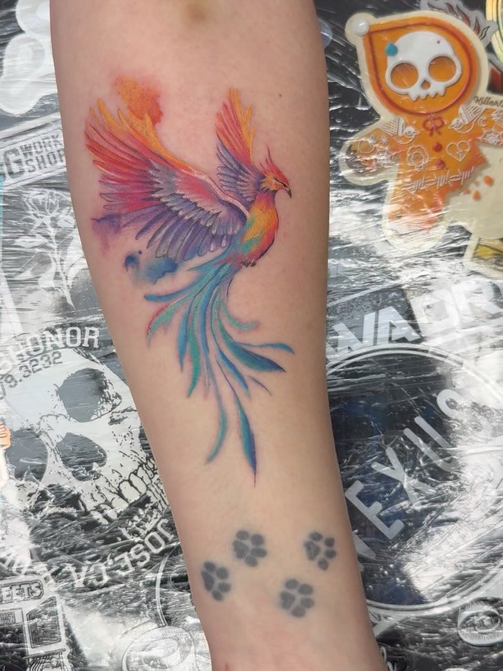 Bright colourful phoenix made last week 😍

&bull;&bull;&bull;&bull;&bull;&bull;&bull;&bull;&bull;&bull;&bull;&bull;&bull;&bull;&bull;&bull;&bull;&bull;&bull;&bull;&bull;&bull;&bull;
#manchestertattoo #phoenixtattoo #finelinetattoo #colourtattoo #tat