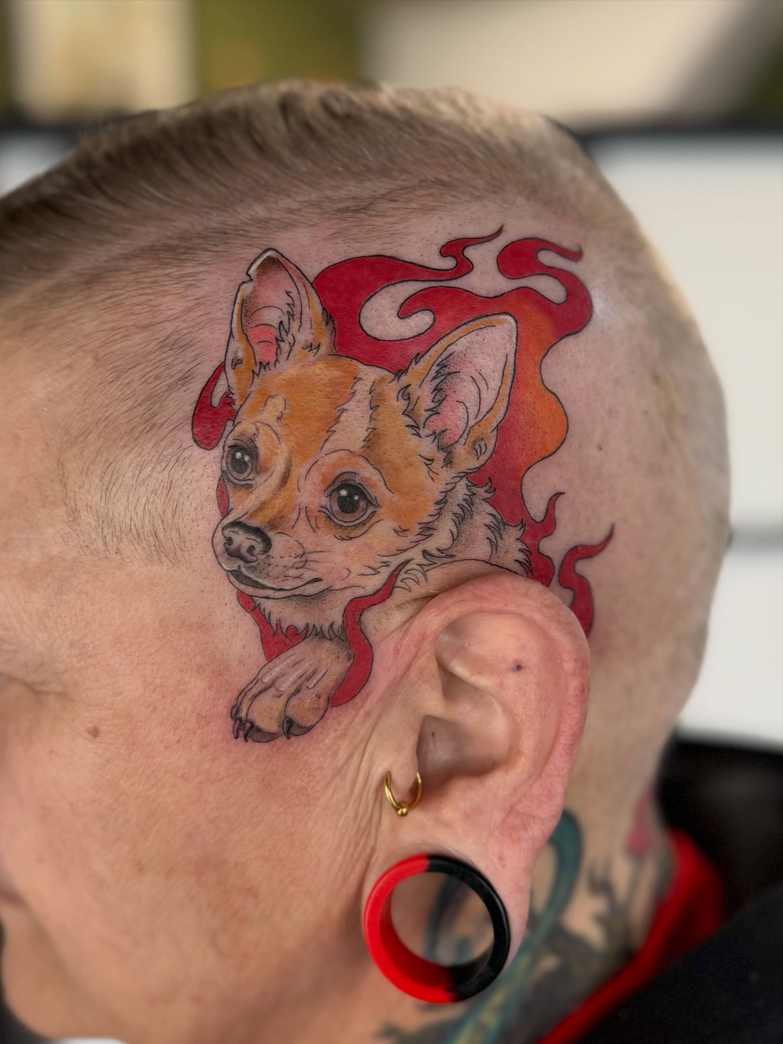 Headbanger made for Caz 👌 thanks so much for the trust on this one pal!! 

&bull;&bull;&bull;&bull;&bull;&bull;&bull;&bull;&bull;&bull;&bull;&bull;&bull;&bull;&bull;&bull;&bull;&bull;&bull;&bull;&bull;&bull;&bull;
#manchestertattoo #headtattoo #dogt
