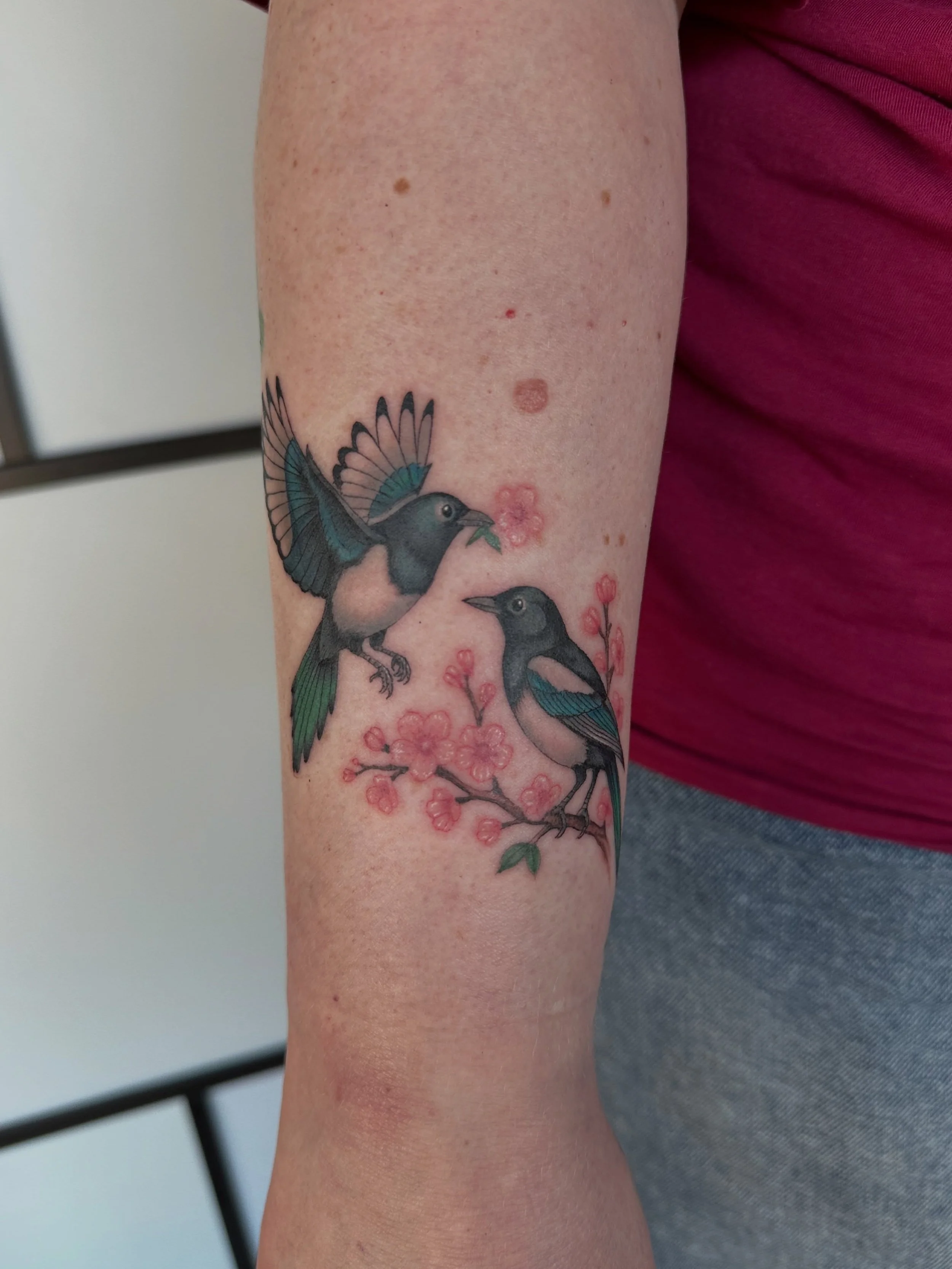 @benalmondtattoos 
.
.
.
.
.
#tattoo #magpietattoo #manchestertattoo #tattooing #colourtattoo
