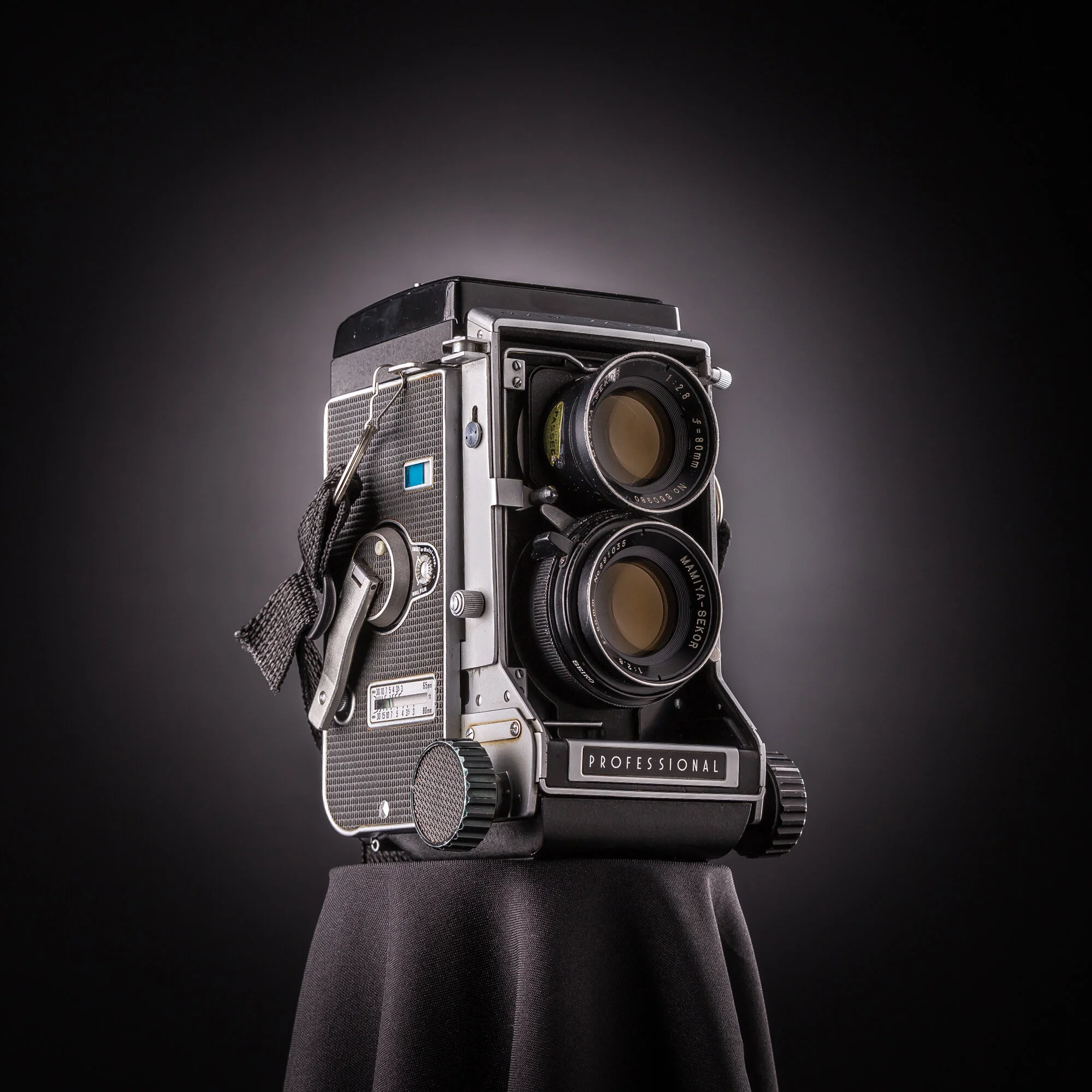 'World Photo Day'