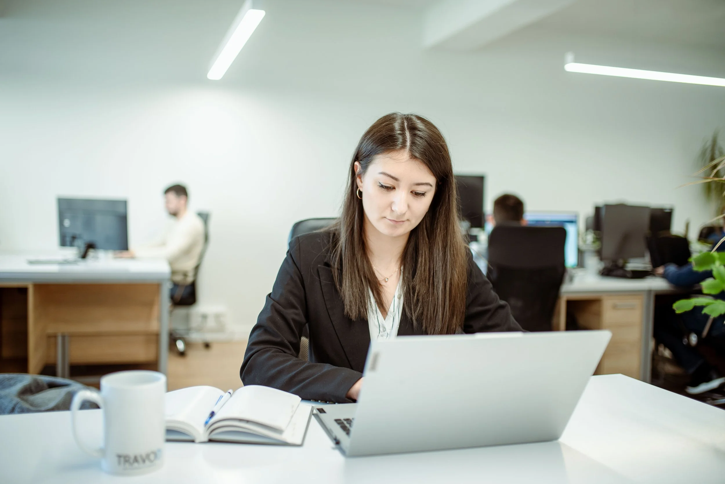 Business Development Manager - DACH region and Europe