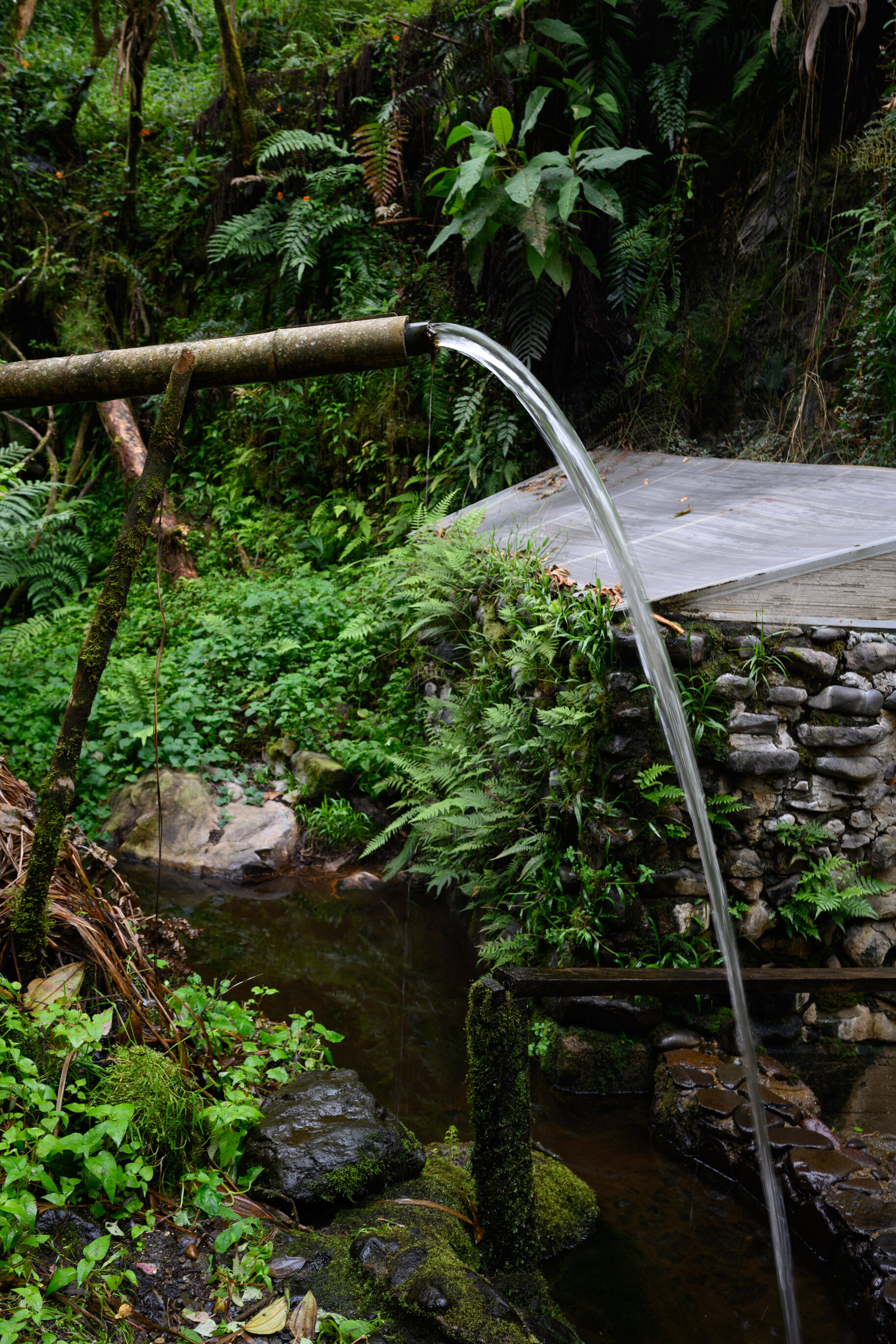  Termales San Vicente 