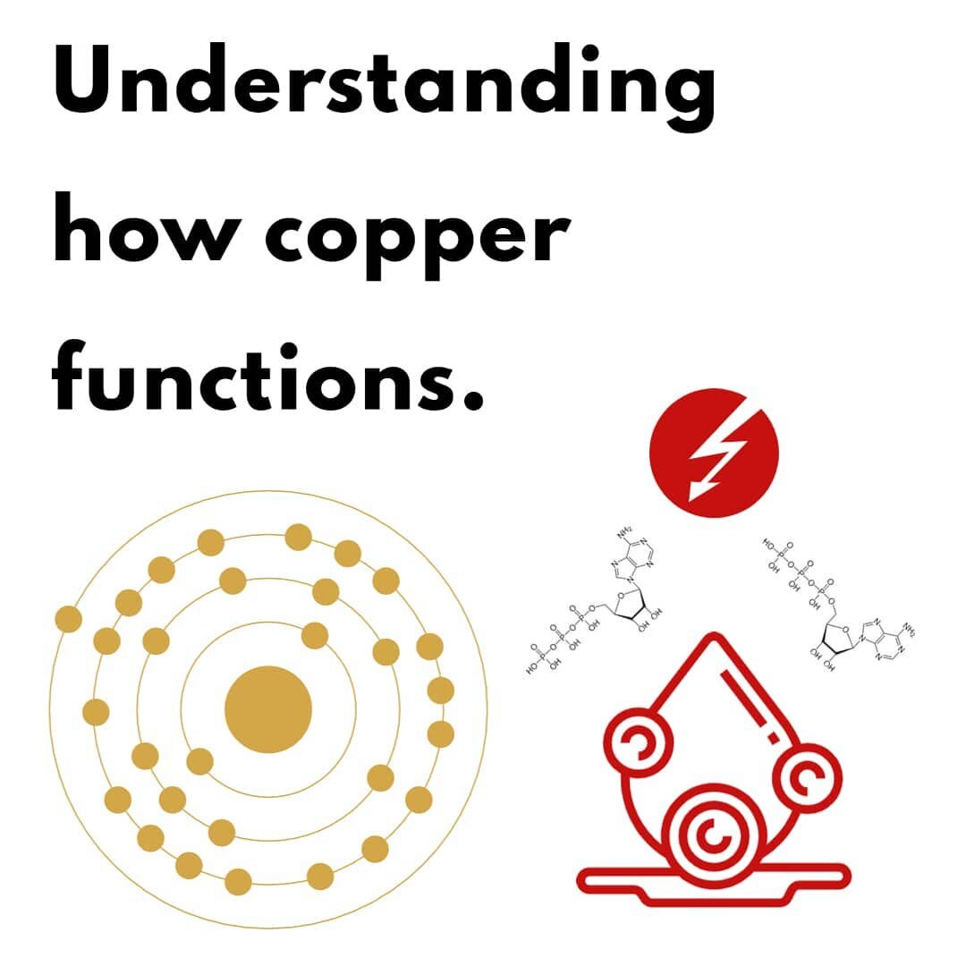 When we think of copper, we might jump to toxicity. Perhaps you've read articles suggesting that copper is linked to neurological problems. Indeed, copper is rather low on the elemental scale, ranking 26th in the earth's crust.

In reality, copper is