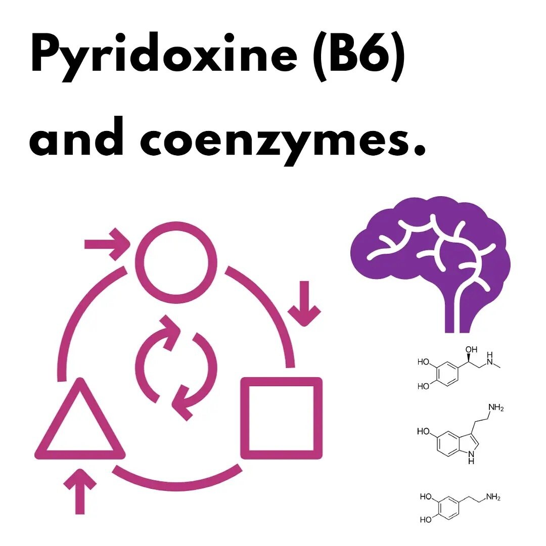 Pyridoxin, otherwise known as B6, is one of eight B vitamins. It is a water soluble vitamin that in its active form, is known as coenzyme pyridoxal 5-phosphate (PLP or P5P).

B6 stands out a little more than its other B vitamin brothers due to its co