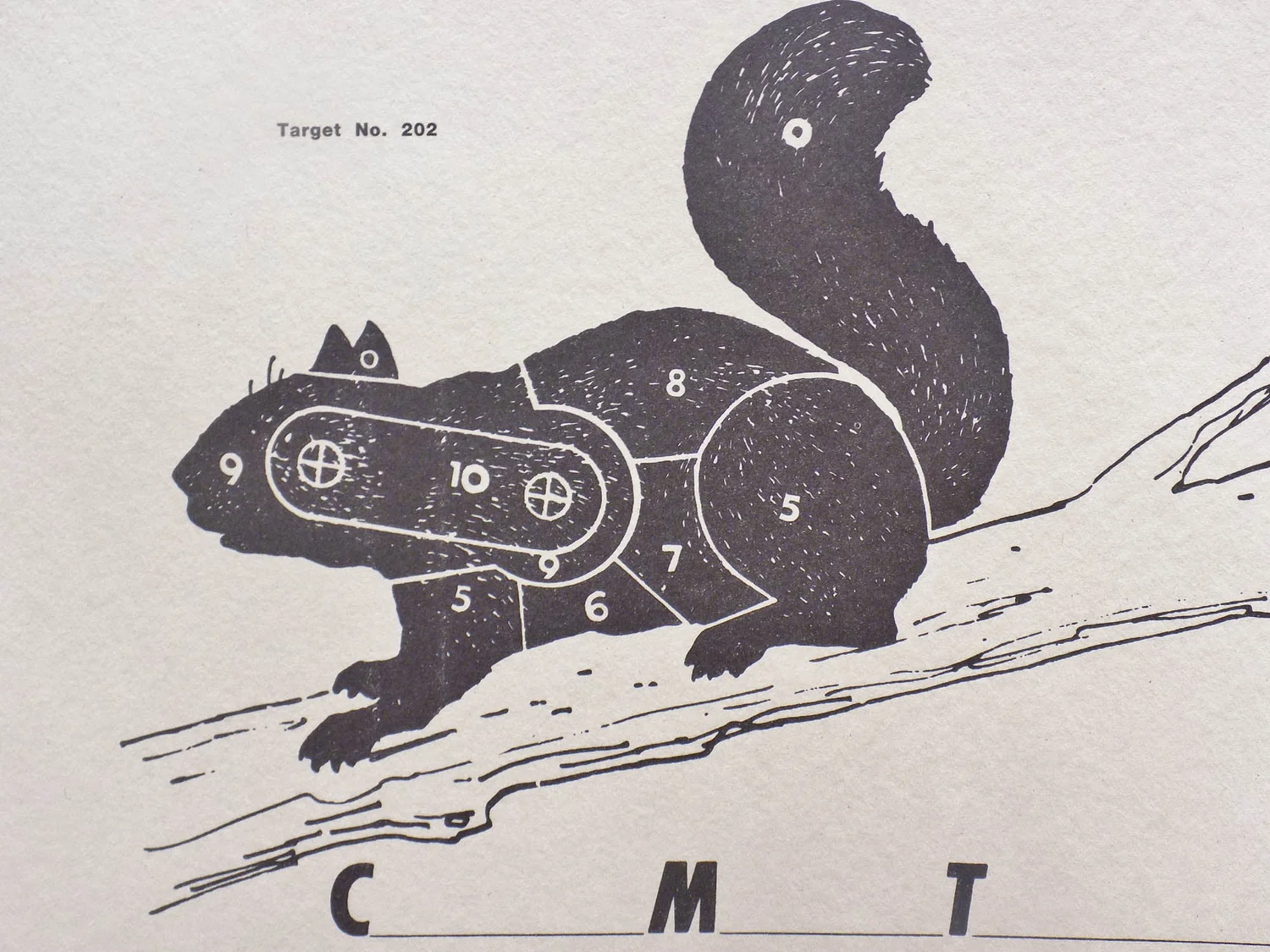 Squirrel Shooting Targets