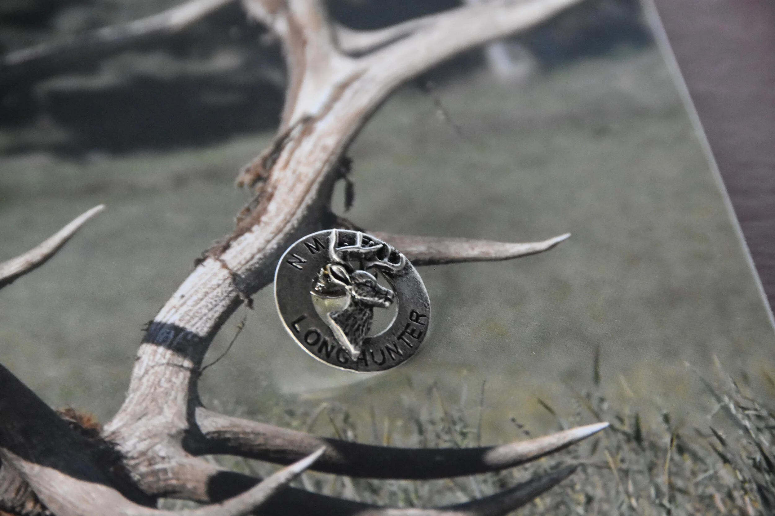 DSC_1453 (Custom).jpeg