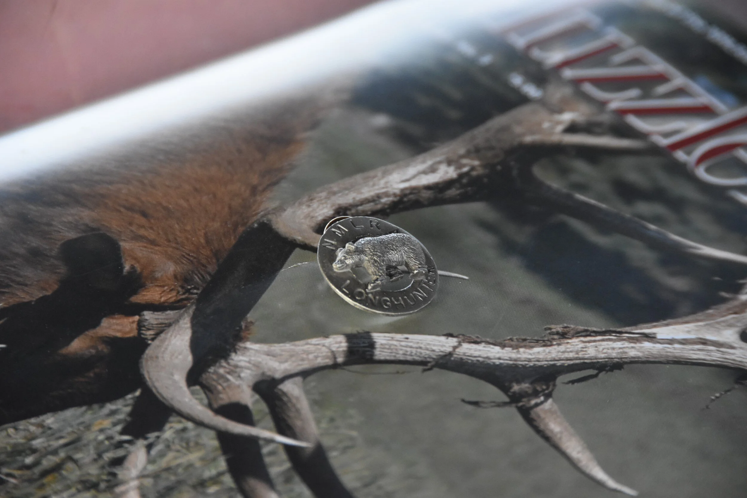 DSC_1446 (Custom).jpeg