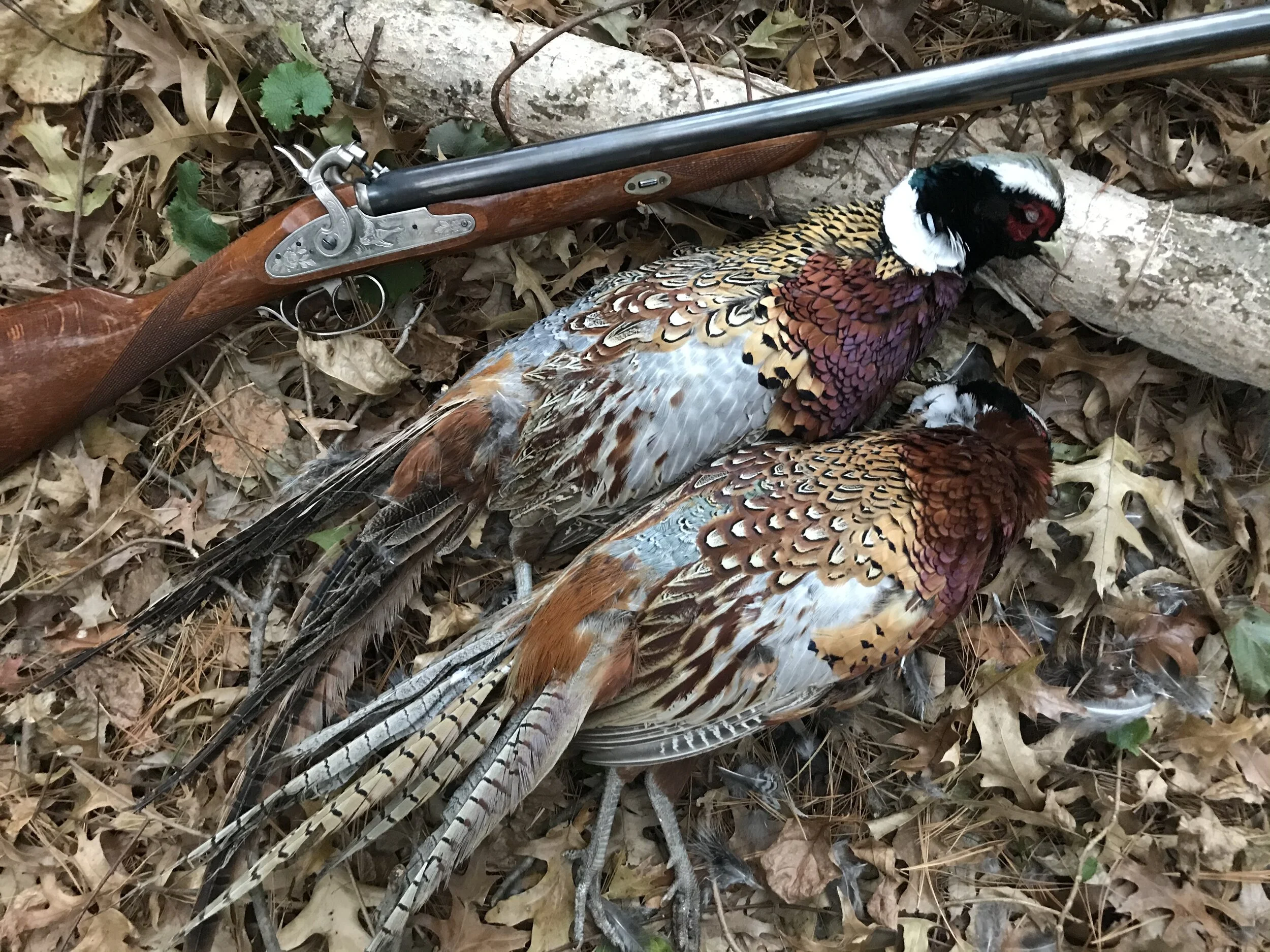 Longhunter Society Scorers Directory Online Now