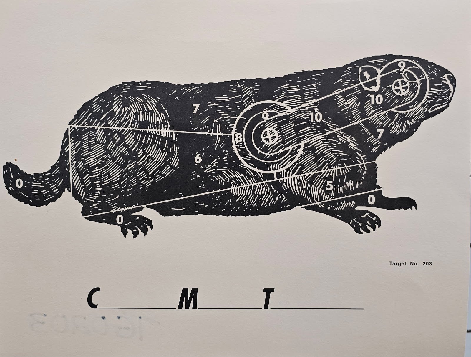 TG0203 Haffner Running Groundhog.jpg