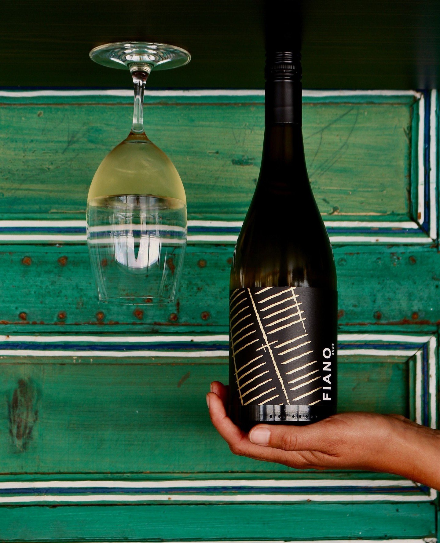 FIANO FESTA ☀️⁠
⁠
Did you know that Fiano tends to have low water use, high natural acidity, thick skins, so lower risk of disease? How cool right!⁠
⁠
We love a grape that&rsquo;s good for the planet and your glass! 🥂✨⁠
⁠
.⁠
.⁠
.⁠
.⁠
.⁠
#greendoorwi