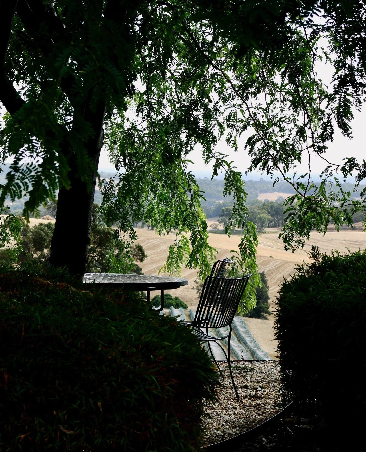 Our outside tables are in hot demand at the moment, be sure to call ahead if you plan to bring your pooch and enjoy the view 🐶⁠
⁠
.⁠
.⁠
.⁠
.⁠
.⁠
#greendoorwines #fergusonvalley #cellardoor #australiawine #winetasting #wawine #visitwa #boutiquewinery