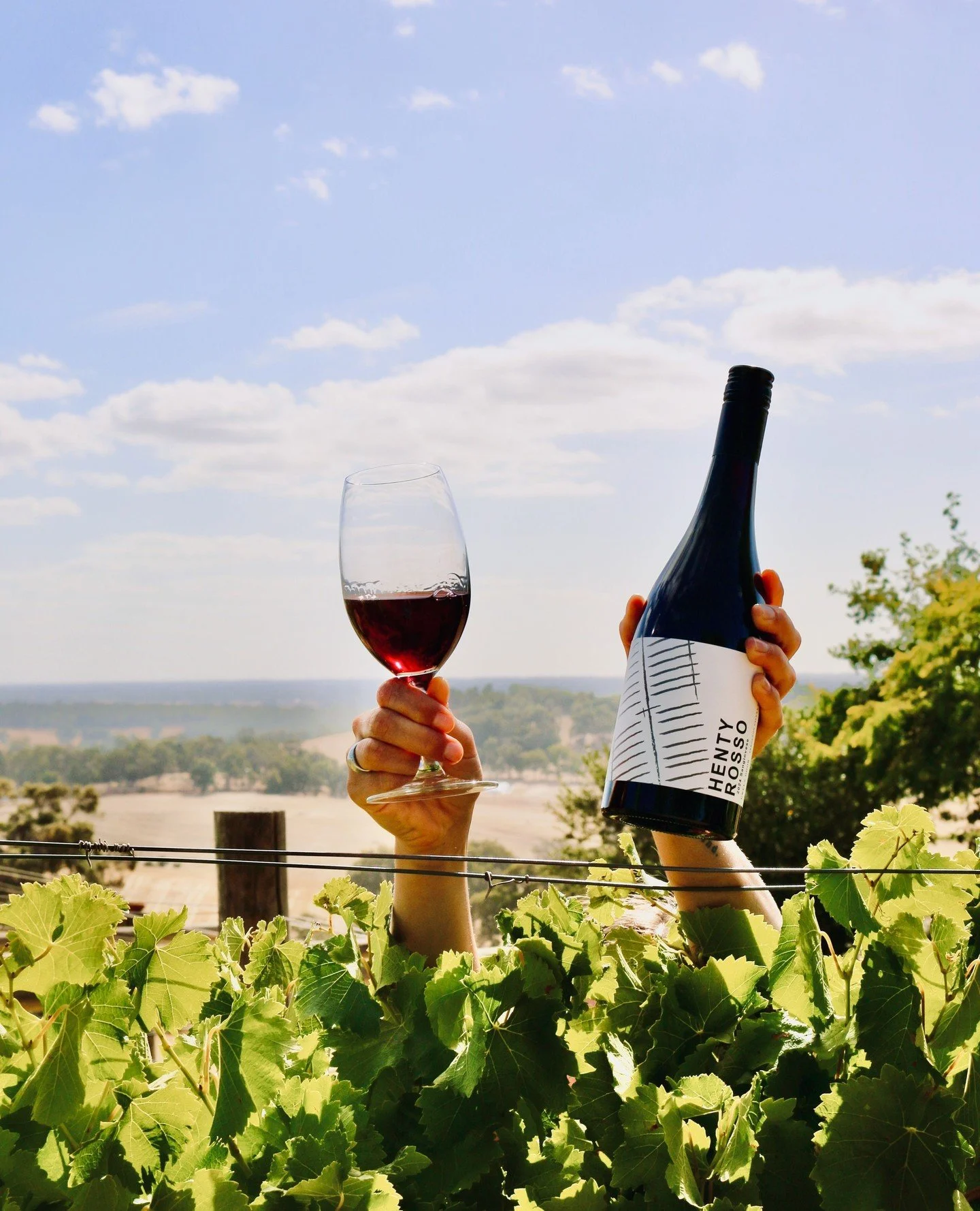 2024 HENTY ROSSO 🍇⁠
⁠
A hommage to the previous owner of the vineyard, our Henty Rosso is made from estate grown Sangiovese that comes from a clone that originates in Brunello di Montalcino in Tuscany. ⁠
⁠
European style with rustic charm. Pairs wel