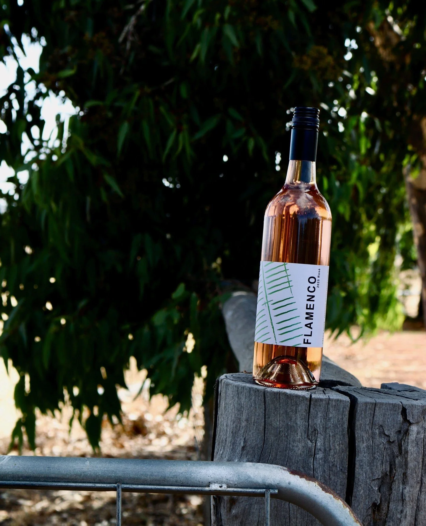 PSA: We are almost SOLD OUT of our Flamenco Rose - pop into the cellar door this weekend to snag the last few bottles...⁠
⁠
Don't worry - something new in coming soon 👀⁠
.⁠
.⁠
.⁠
.⁠
.⁠
#greendoorwines #fergusonvalley #discoverfergusonvalley #bungeo 