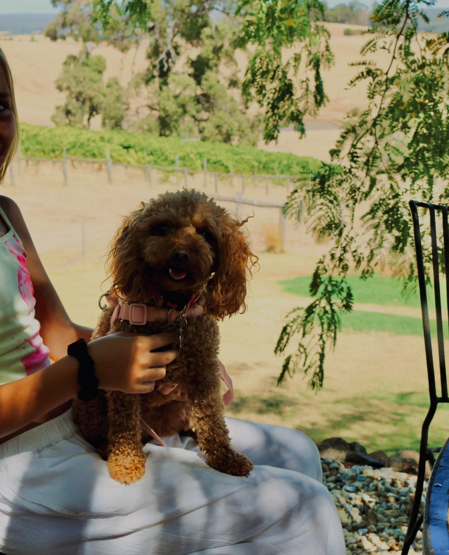 HAPPY EASTER 🐰🐣⁠
⁠
Hope you all have a fabulous long weekend filled with love and lots of chocolate 🙊⁠
⁠
.⁠
.⁠
.⁠
.⁠
.⁠
#greendoorwines #fergusonvalley #cellardoor #australiawine #winetasting #wawine #visitwa #boutiquewinery #winterwinedays #ros&e