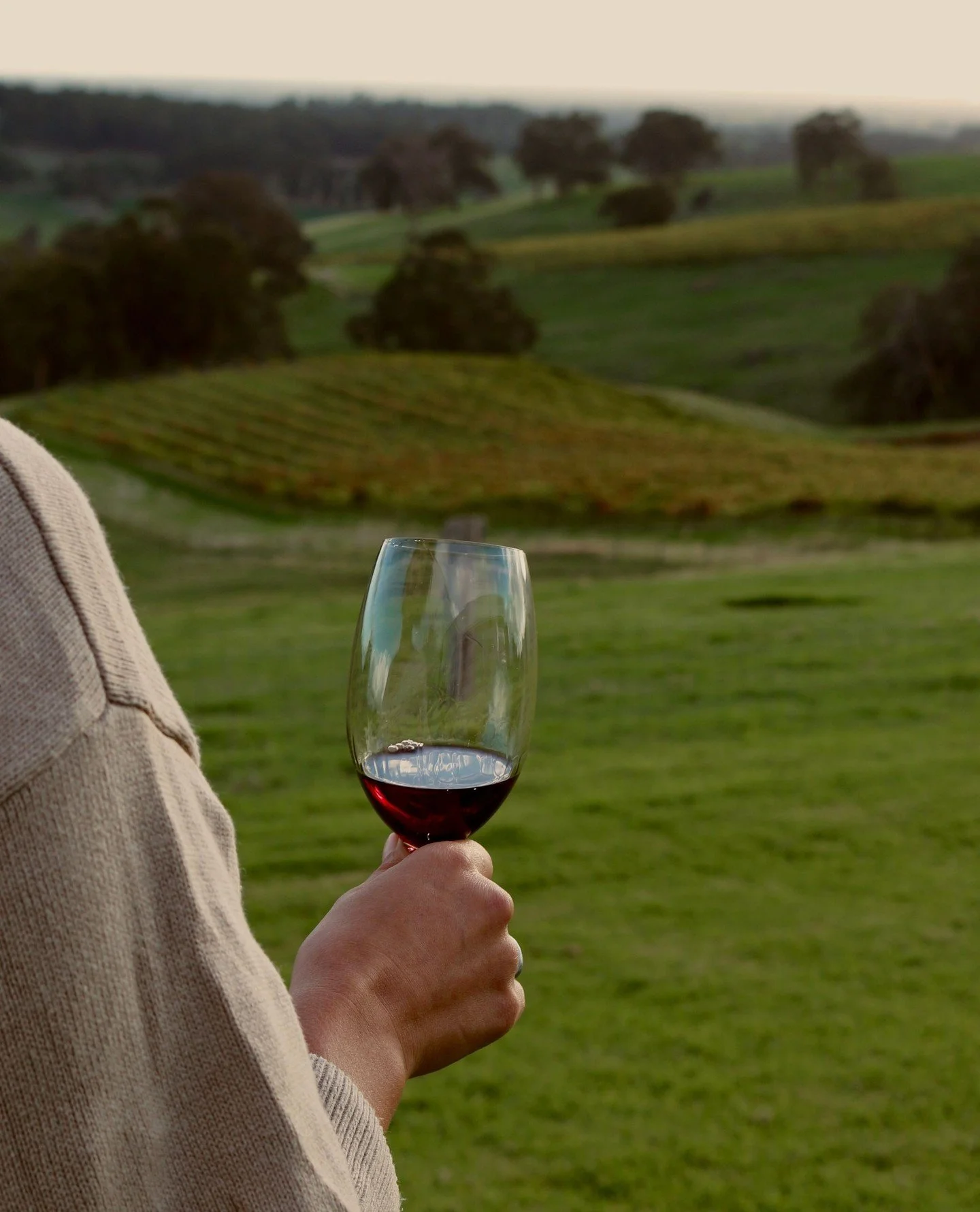 Pouring all your favourites all weekend long...🍷⁠
.⁠
.⁠
.⁠
.⁠
.⁠
#greendoorwines #fergusonvalley #discoverfergusonvalley #bungeo #bunburygeographe #winemakersofgeographe #geographewine #geographewineregion #justanotherdayinwa #australiassw #australi