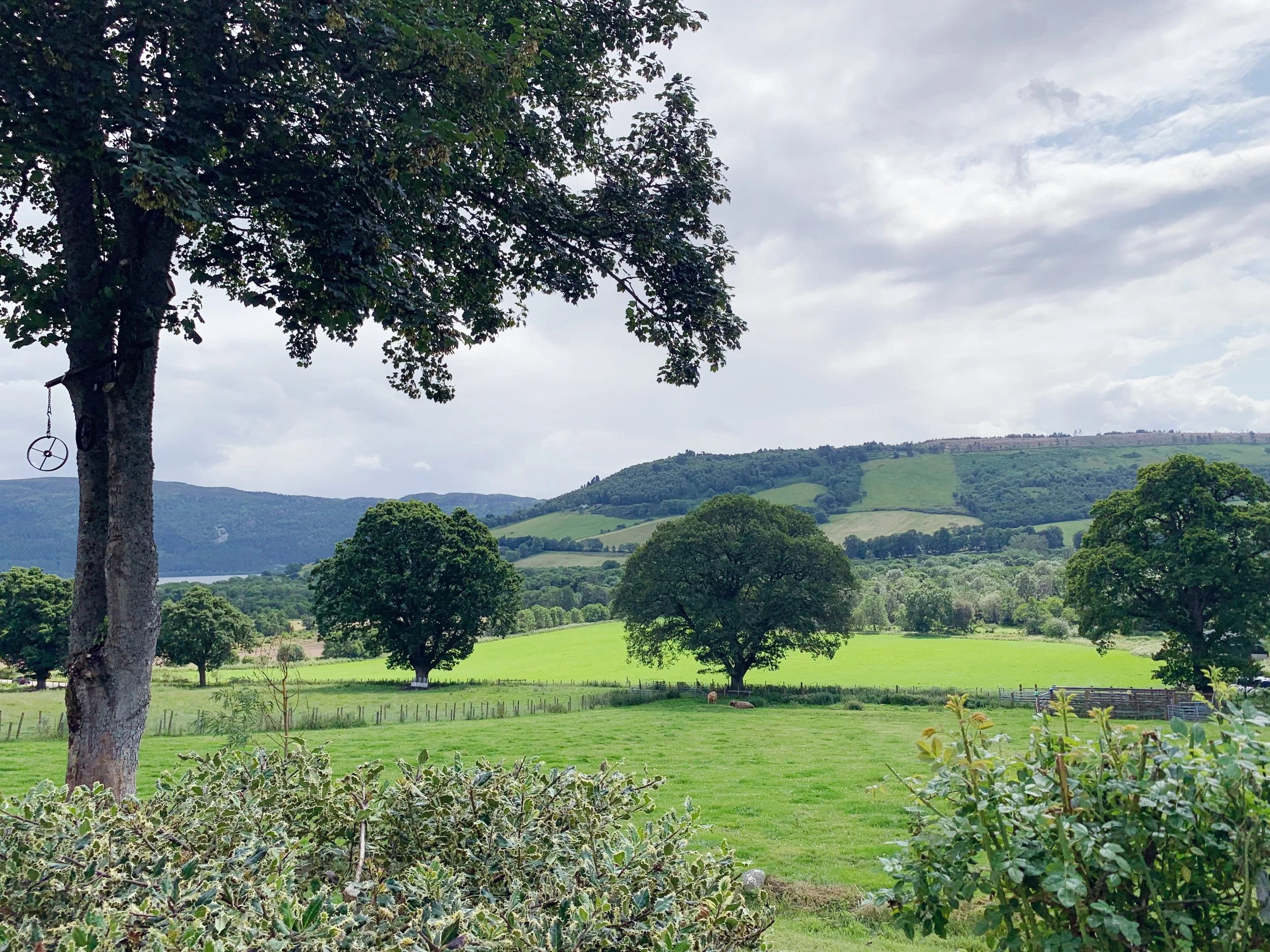 Stunning views of Loch Ness from Drumbuie Farm