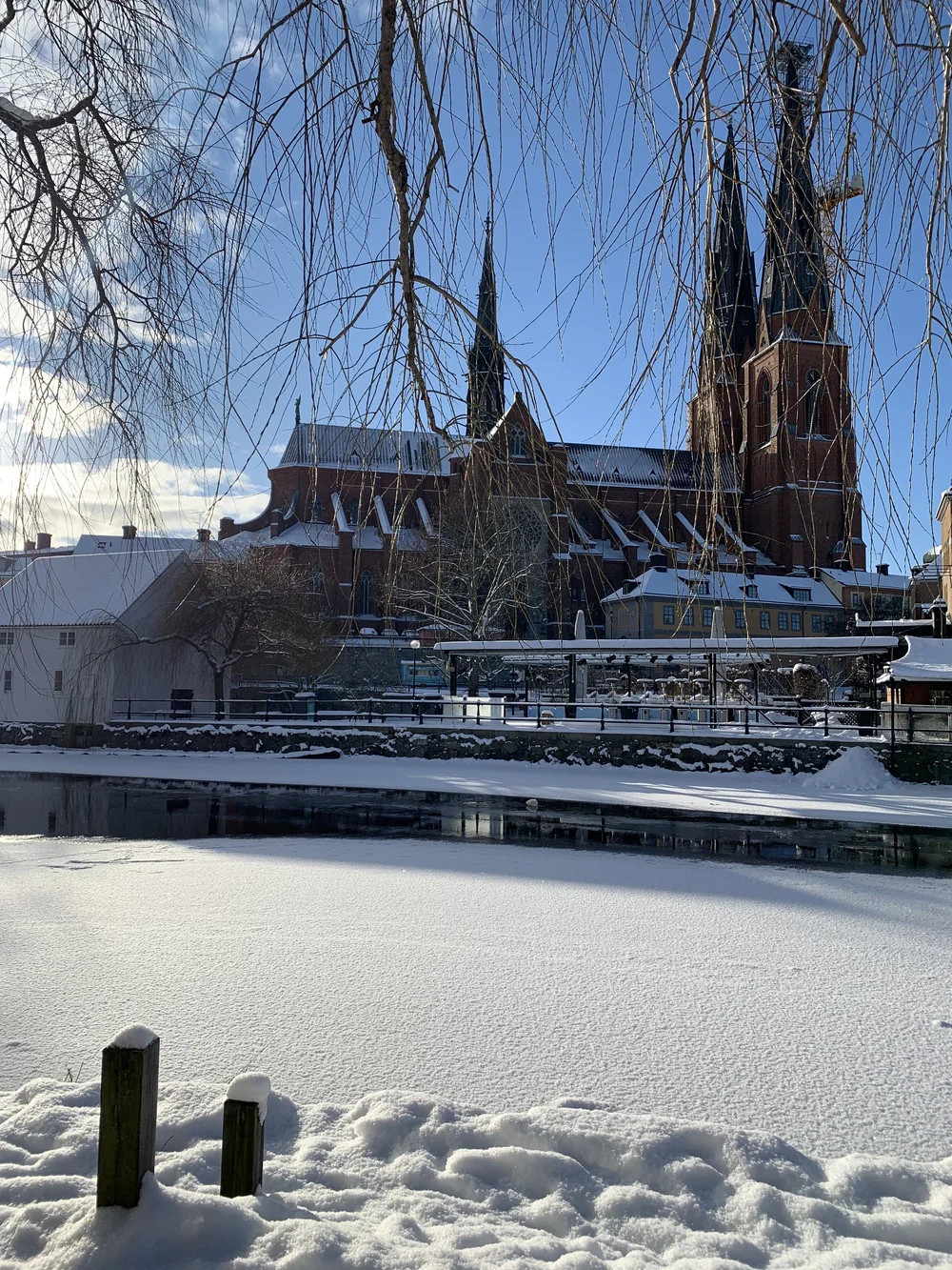 Uppsala International Students