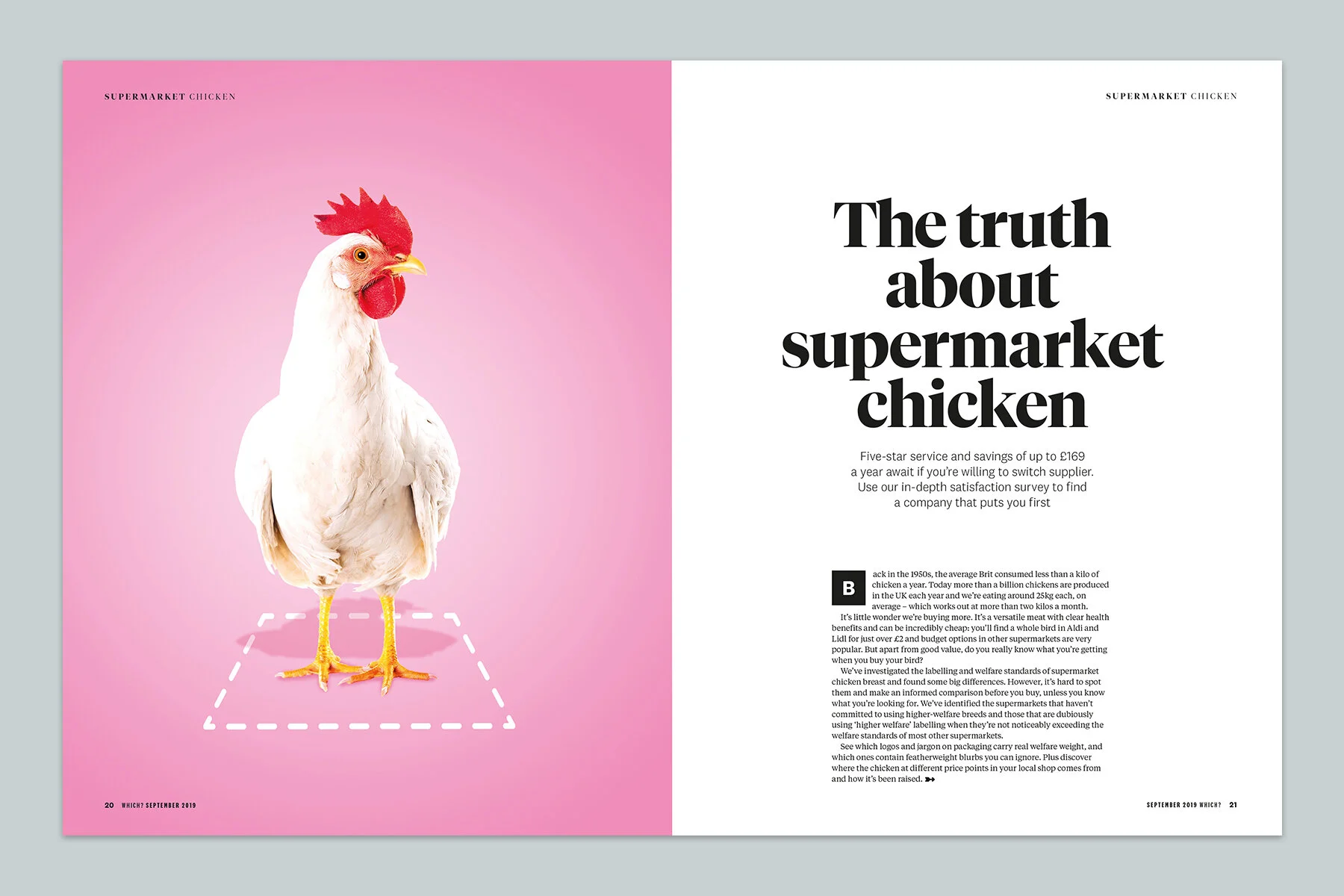 Chicken1.jpg