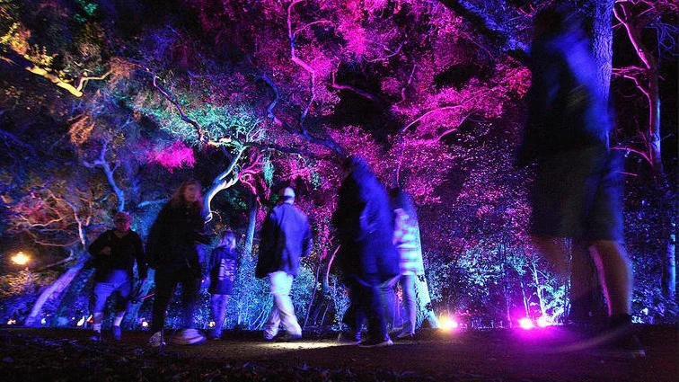 Downtown Abilene is about to get more colorful!