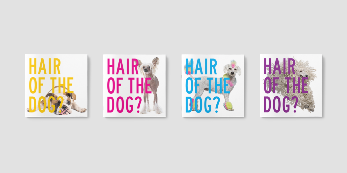 Hair_Dog_Cover_Portfolio6.png