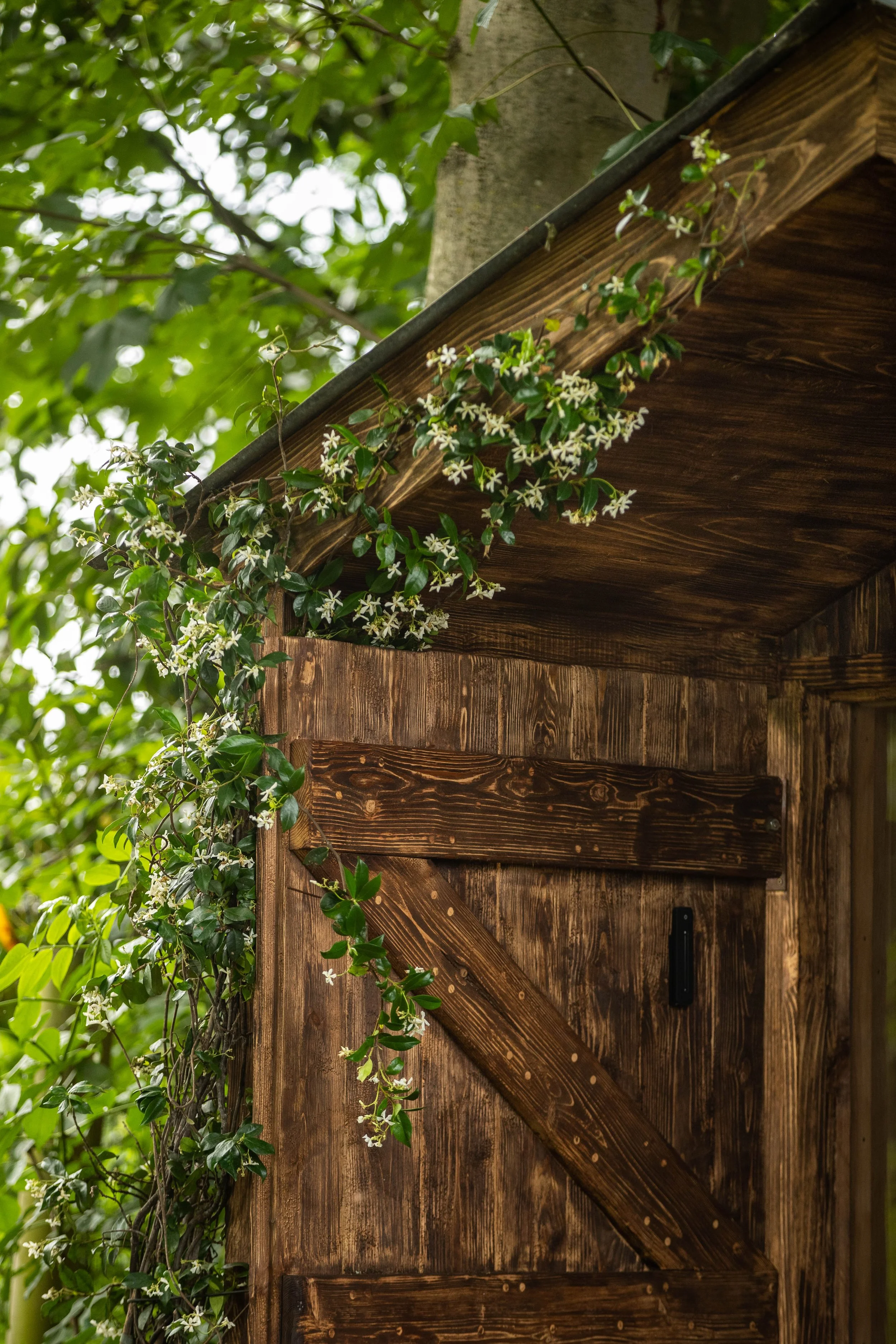 Ben Fogle Sauna-9387.jpg