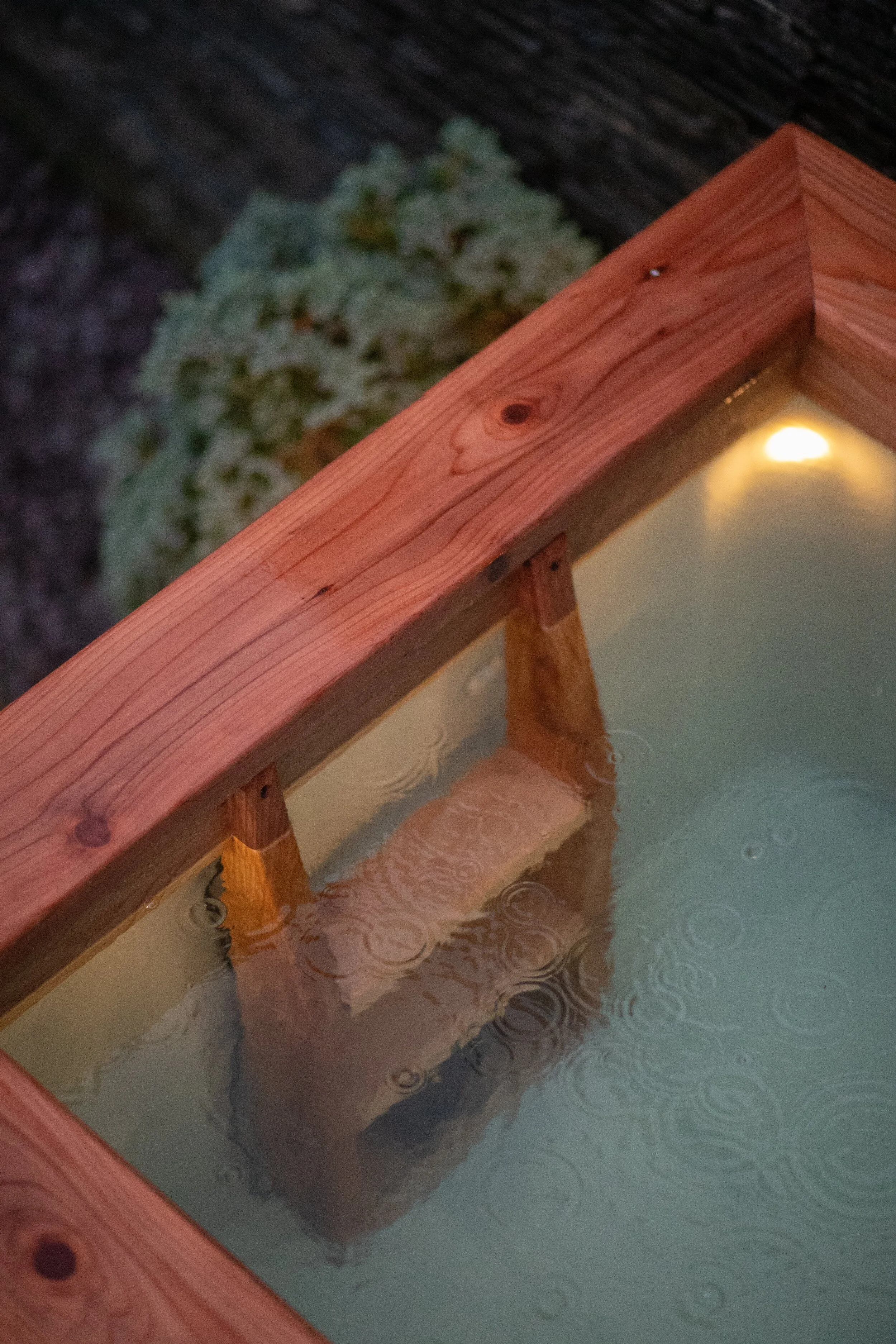 Plunge & Shower-84-min.jpg