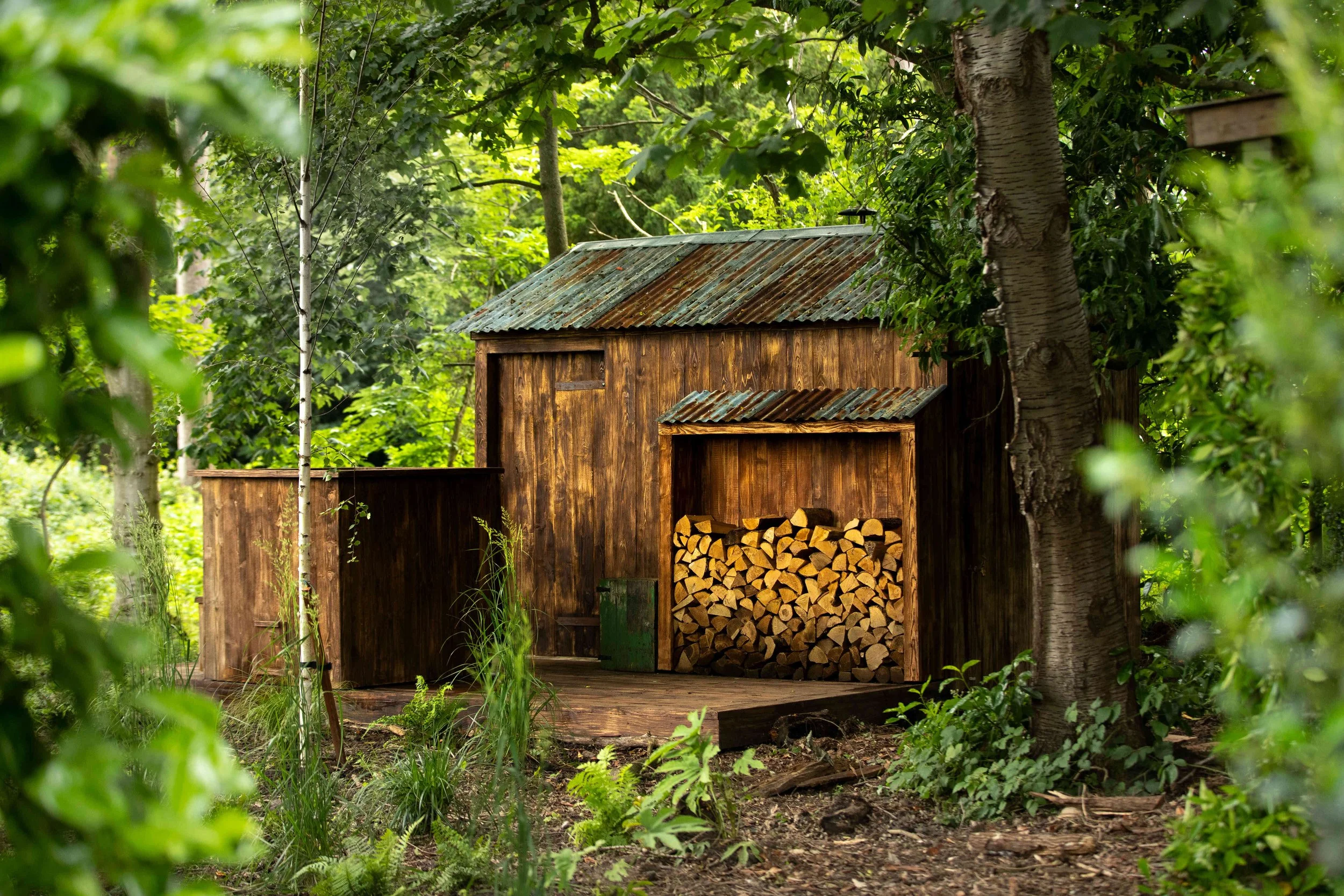 ben-fogle-sauna-9366_optimized (1).jpg