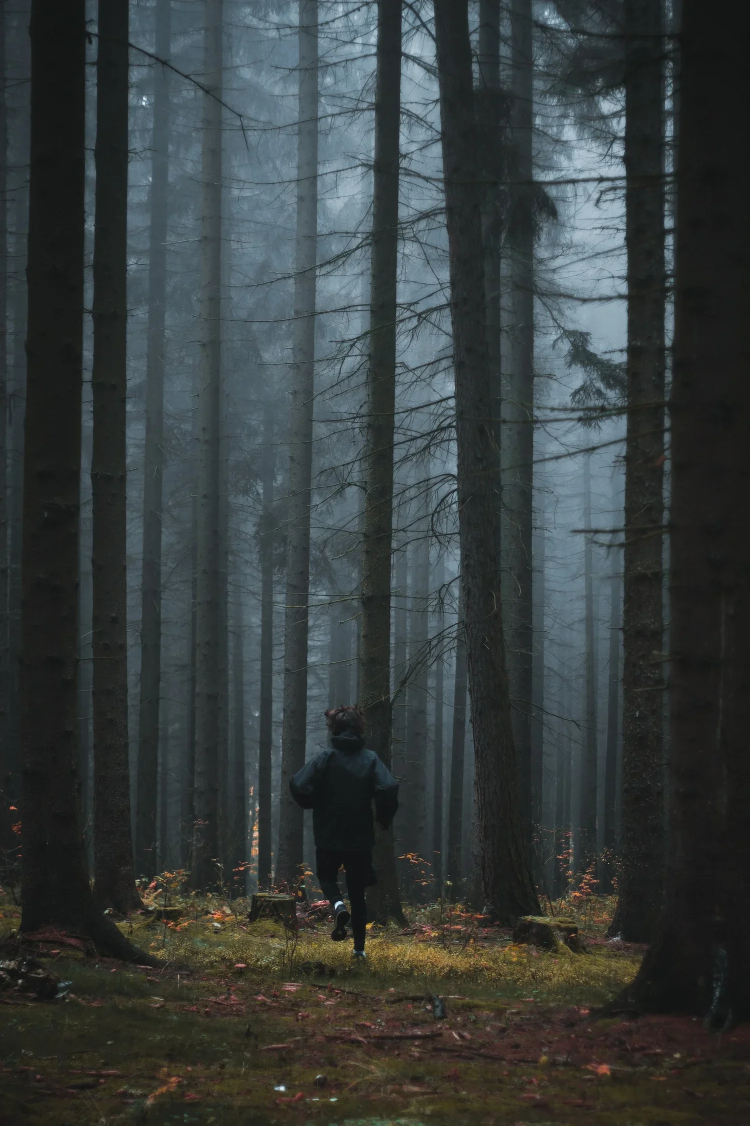 jakub-kriz-3FFEdm8TOek-unsplash+(1).jpg.webp