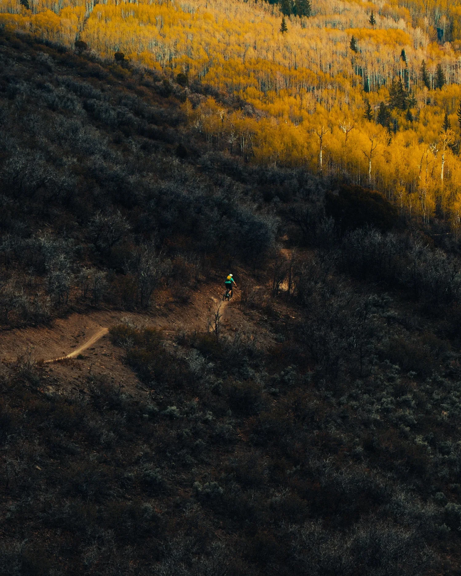 hunter-bryant--3Q62CkRIGA-unsplash+(1).jpg.webp