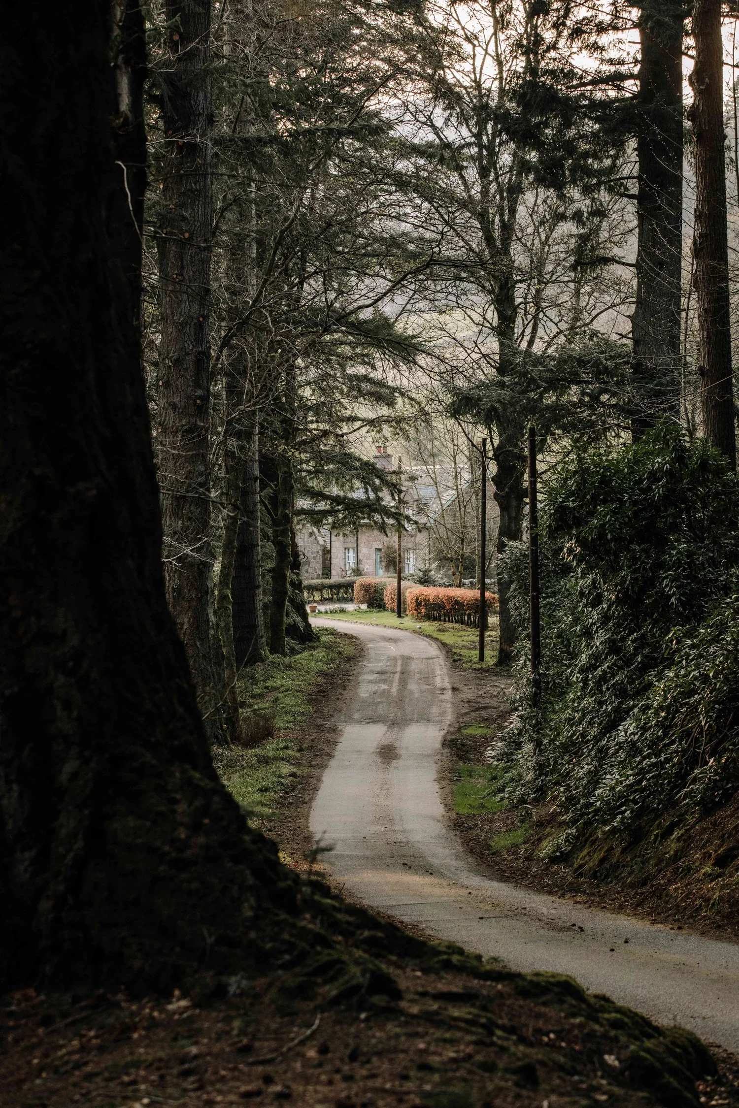 glen-dye---landscapes-24_optimized.jpg.webp